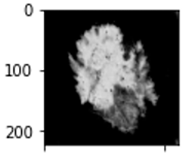 Diagnostics 12 01628 i002