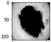 Diagnostics 12 01628 i003