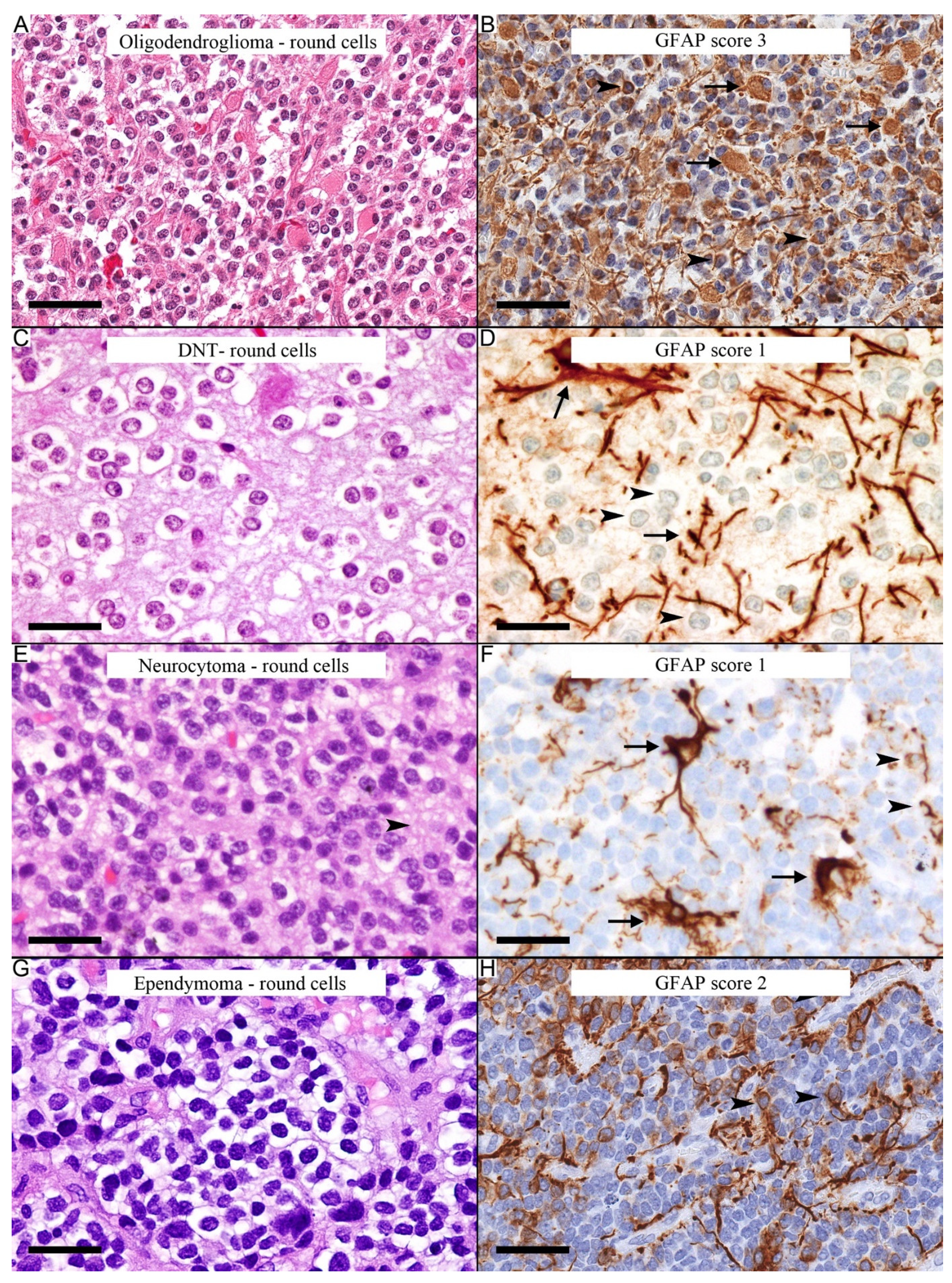 Diagnostics 12 01632 g003