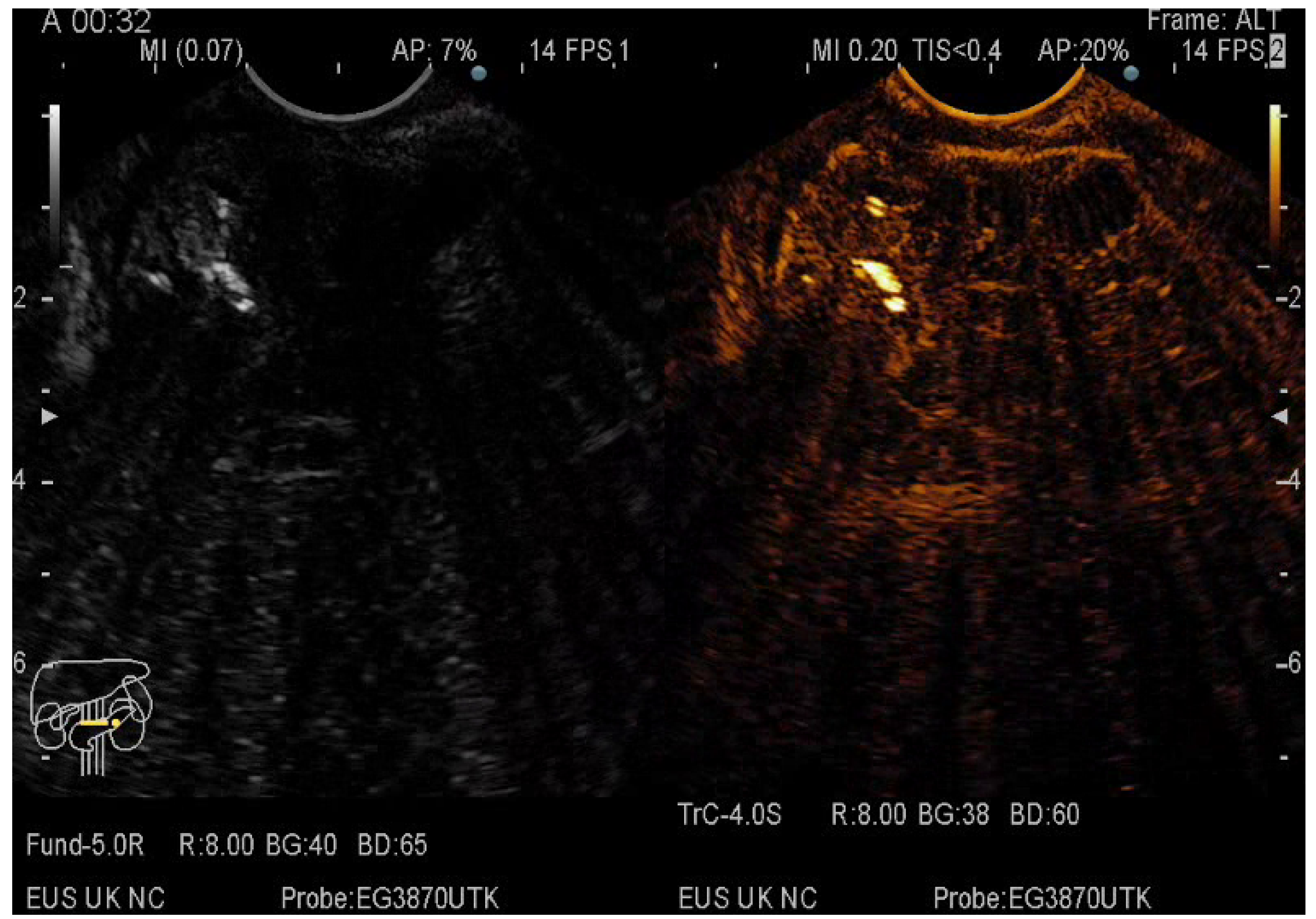 Diagnostics 12 01641 g004