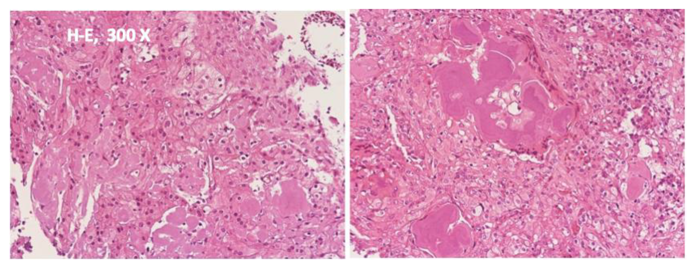 Diagnostics 12 01651 g003