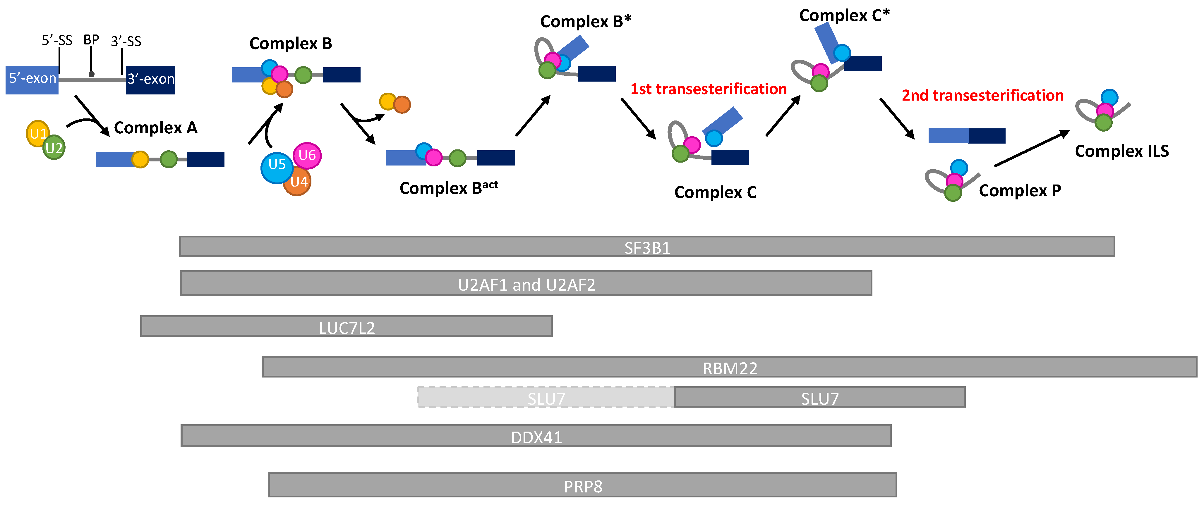 Diagnostics 12 01658 g002 Diagnostics 12 01658 g002