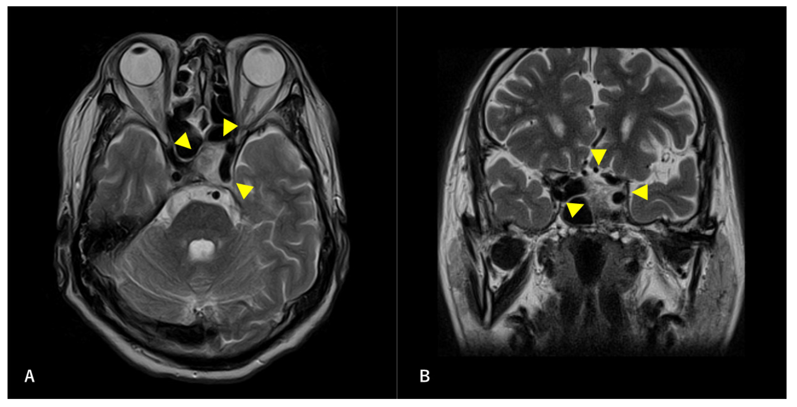 Diagnostics 12 01674 g002