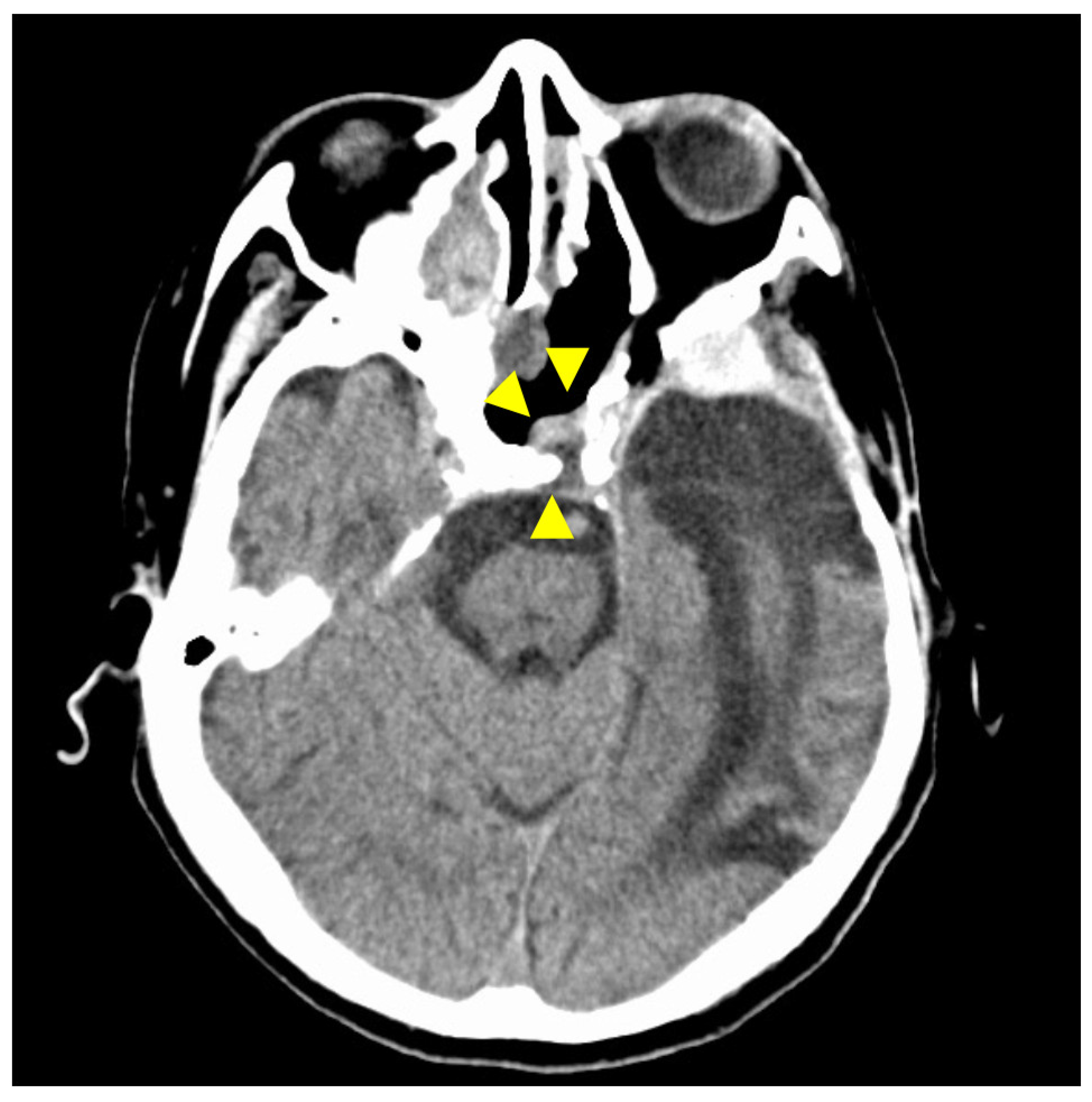 Diagnostics 12 01674 g007