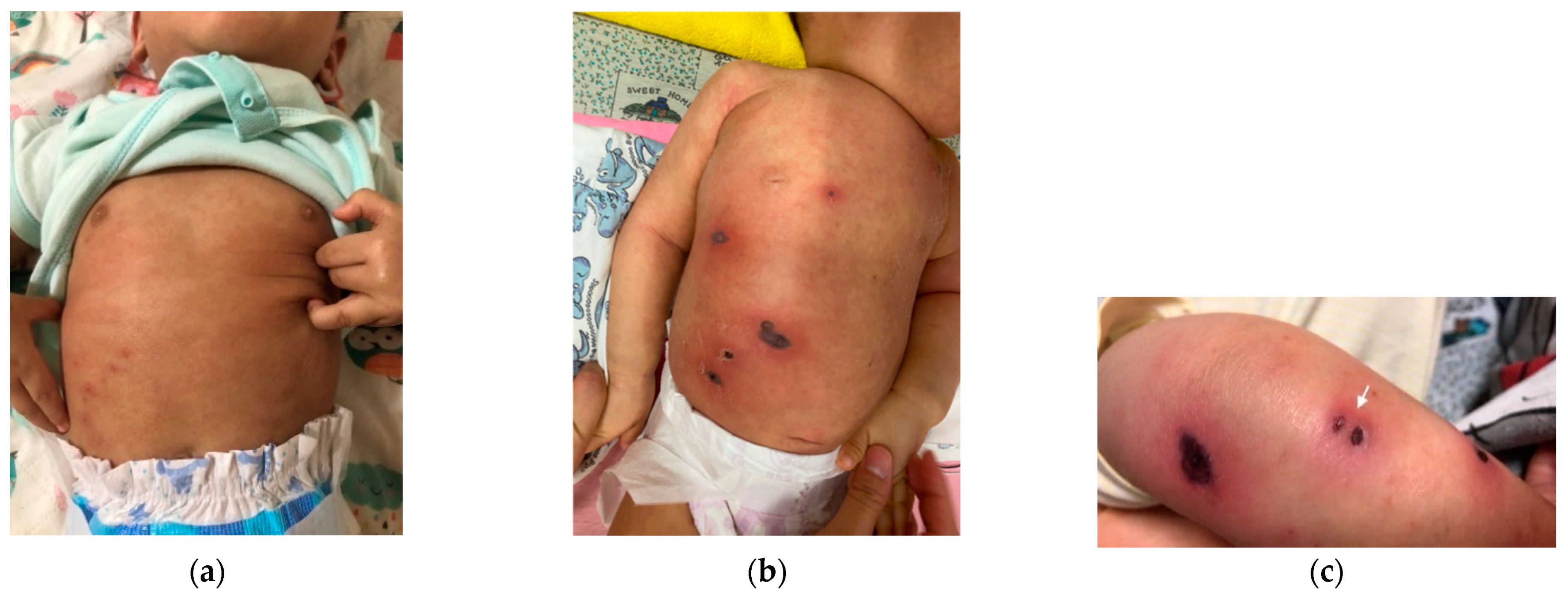 Diagnostics 12 01683 g001