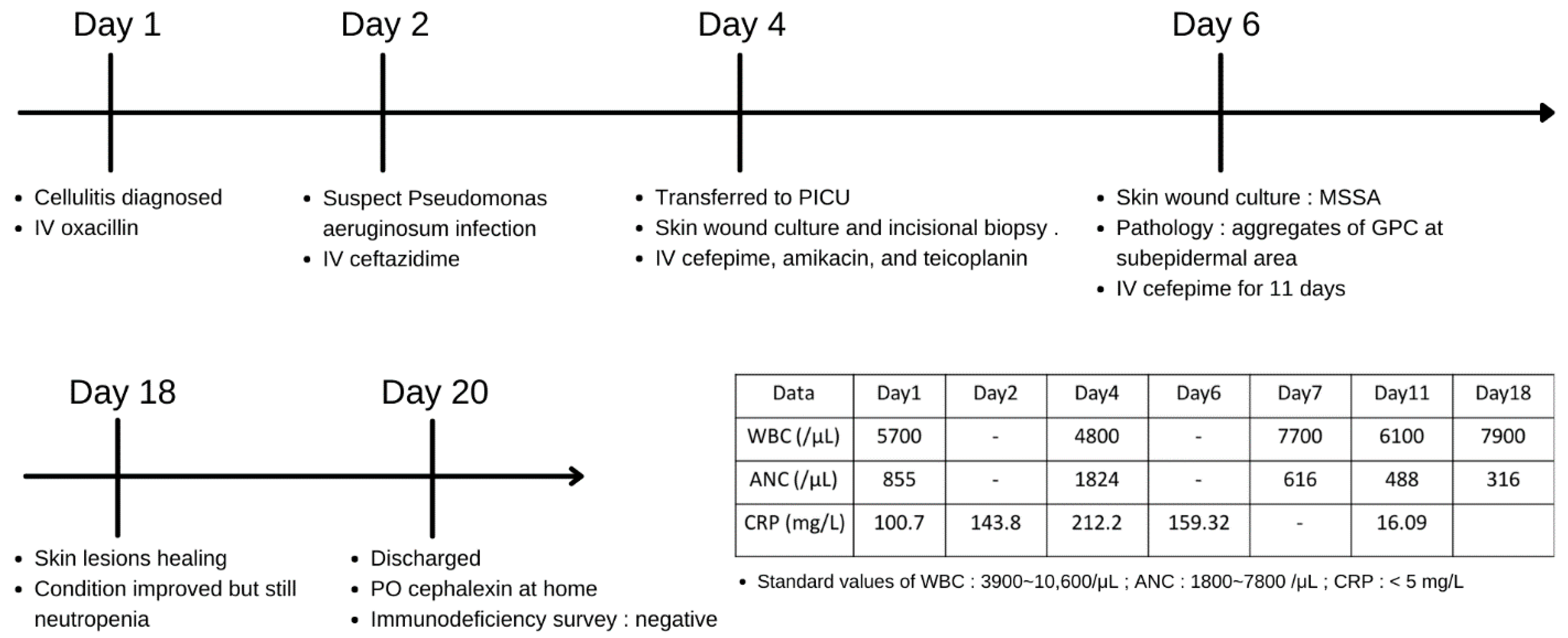 Diagnostics 12 01683 g003
