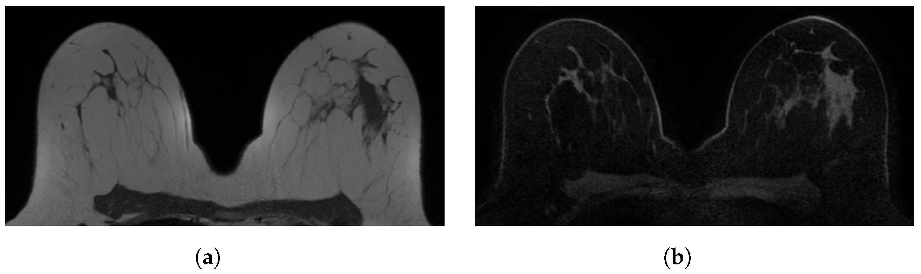 Diagnostics 12 01690 g001