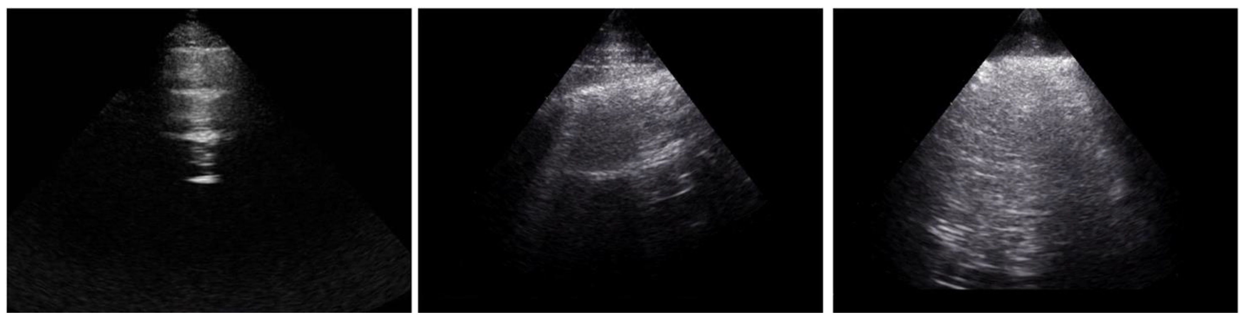 Diagnostics 12 01696 g001 Diagnostics 12 01696 g001