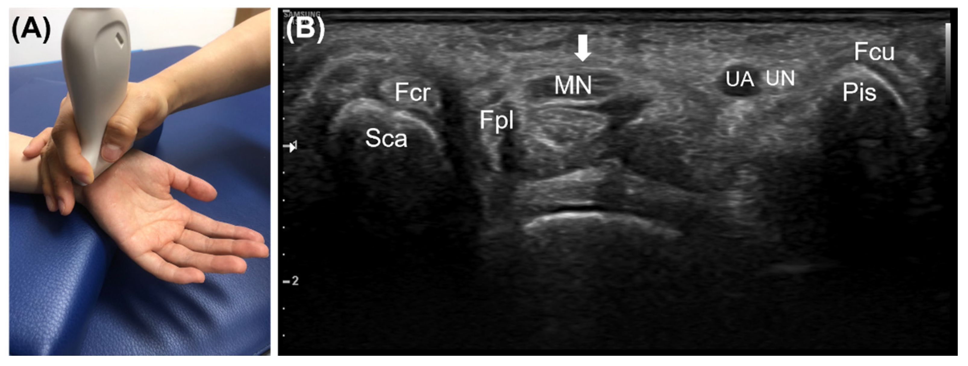 Diagnostics 12 01707 g001