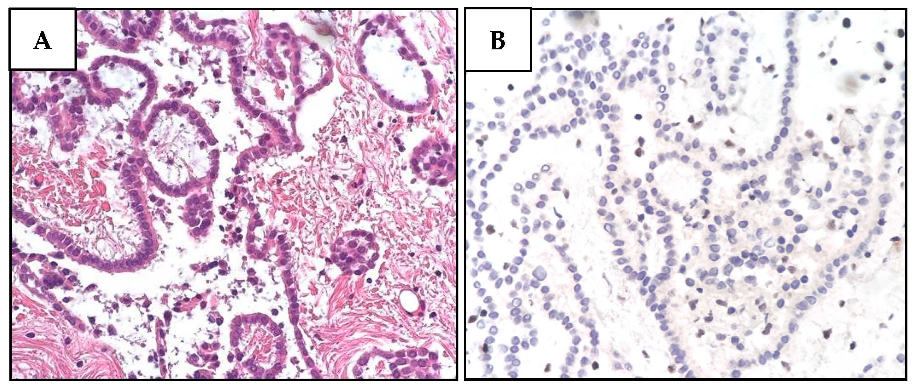 Diagnostics 12 01710 g003a