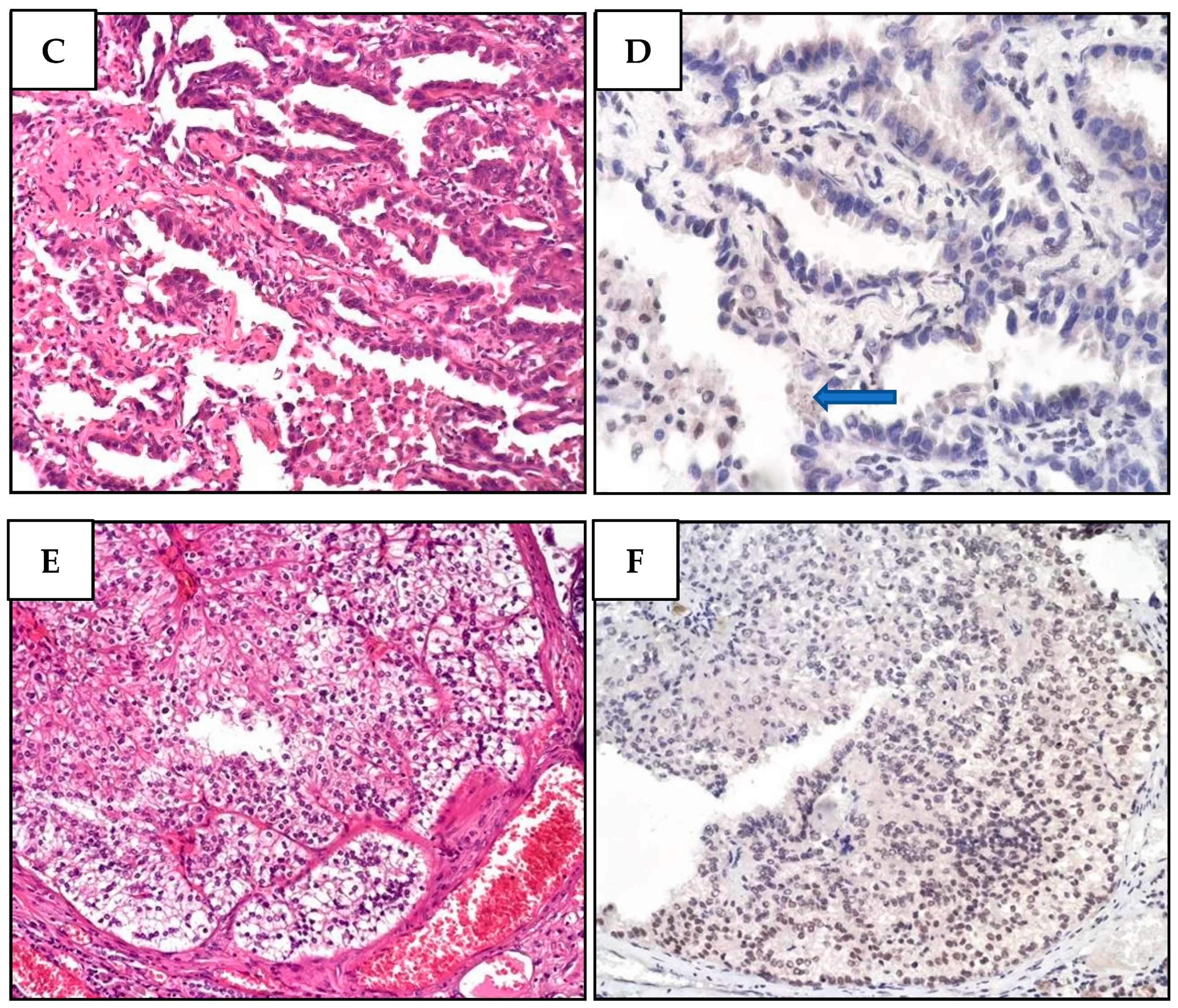 Diagnostics 12 01710 g003b