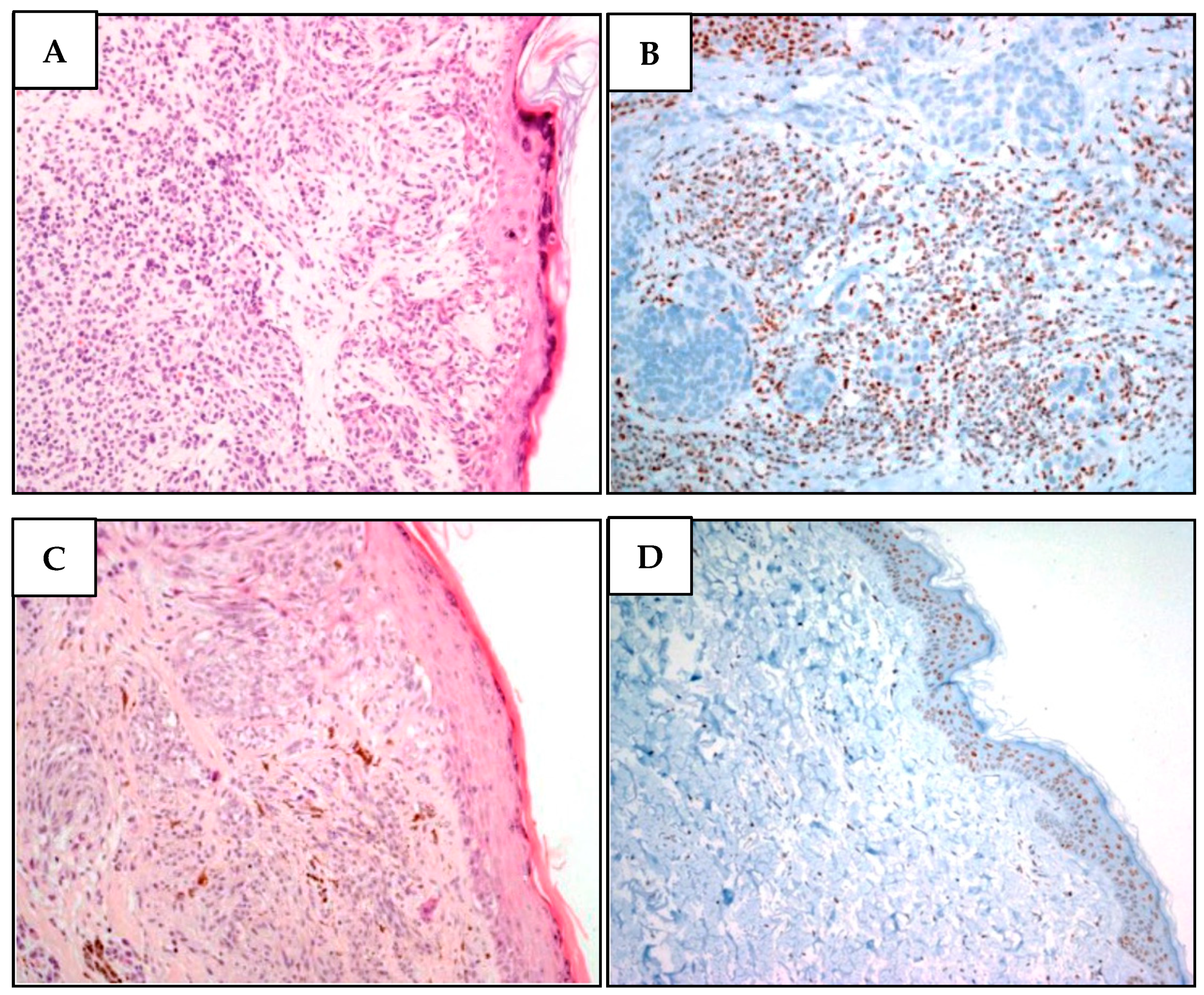 Diagnostics 12 01710 g004