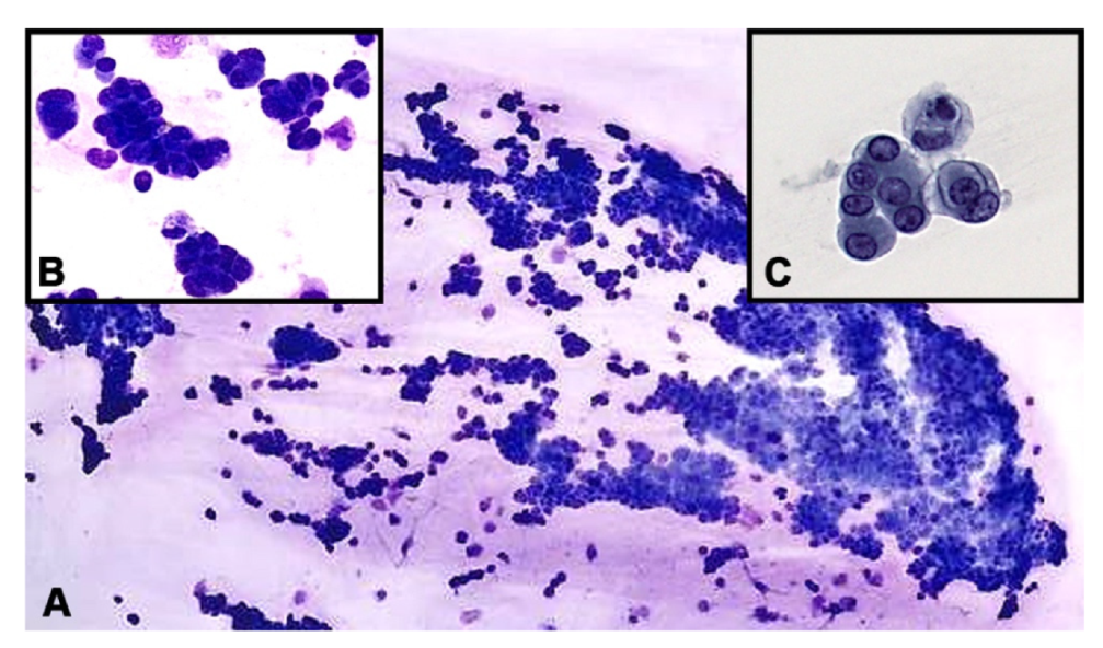 Diagnostics 12 01712 g002