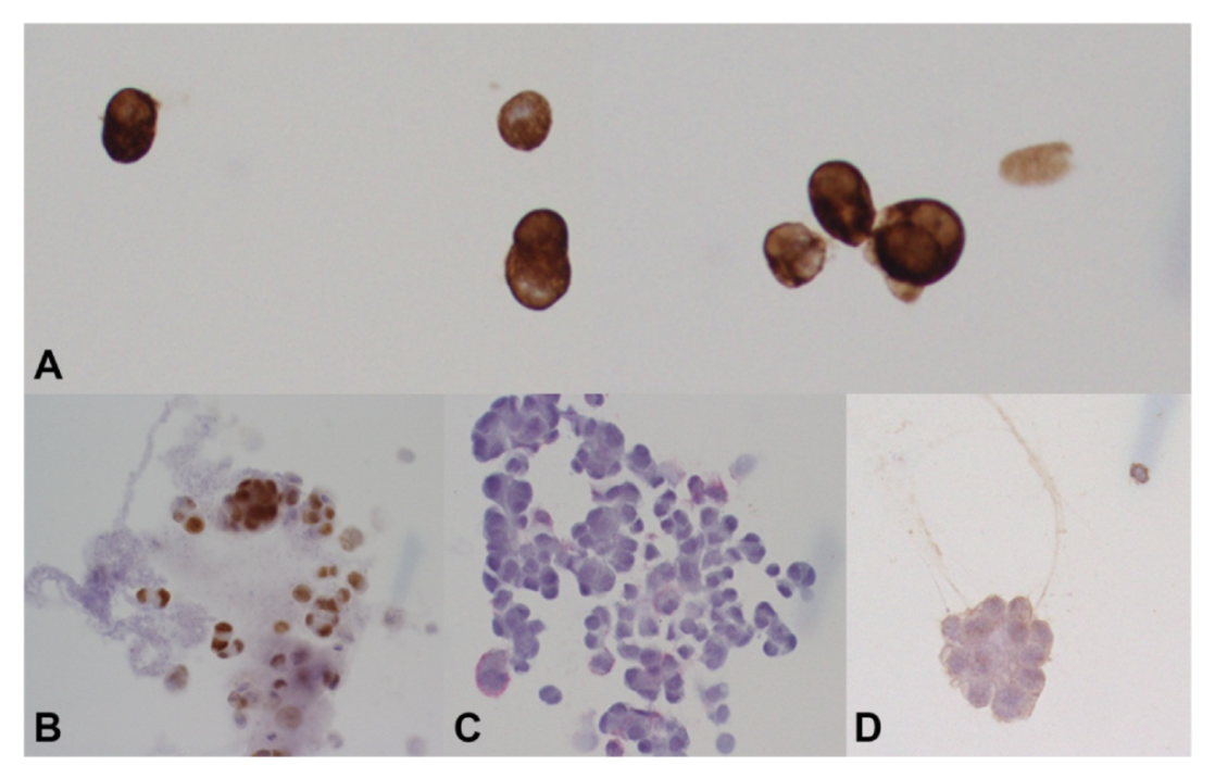 Diagnostics 12 01712 g003