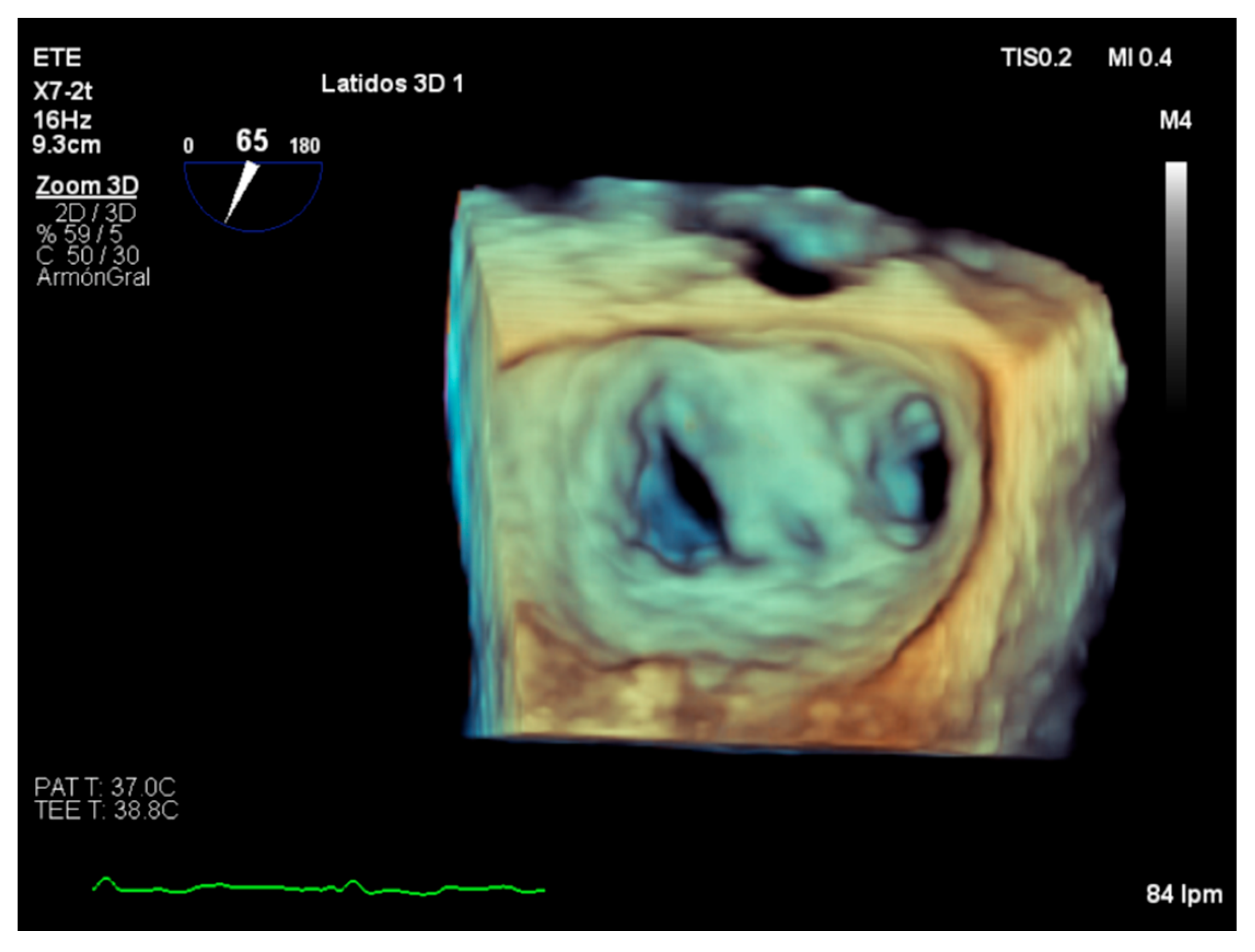 Diagnostics 12 01717 g005