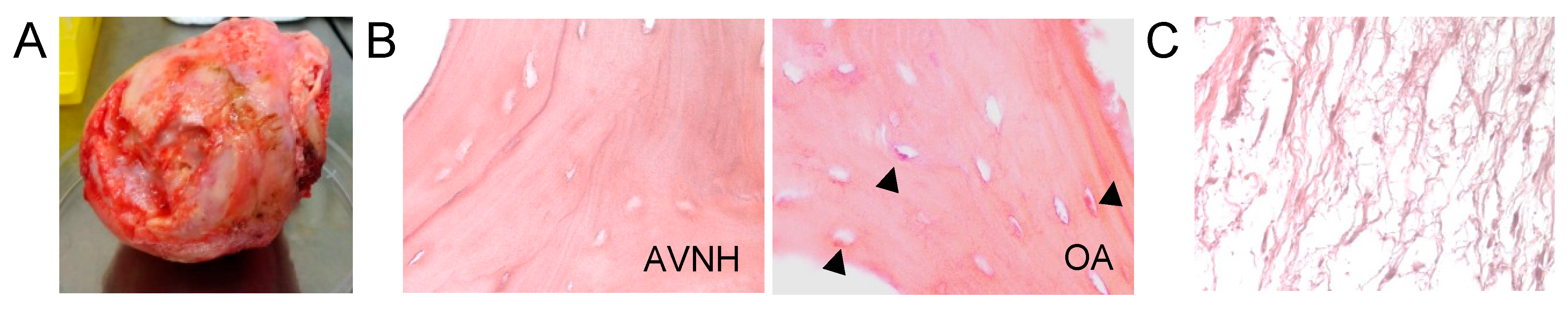 Diagnostics 12 01731 g001