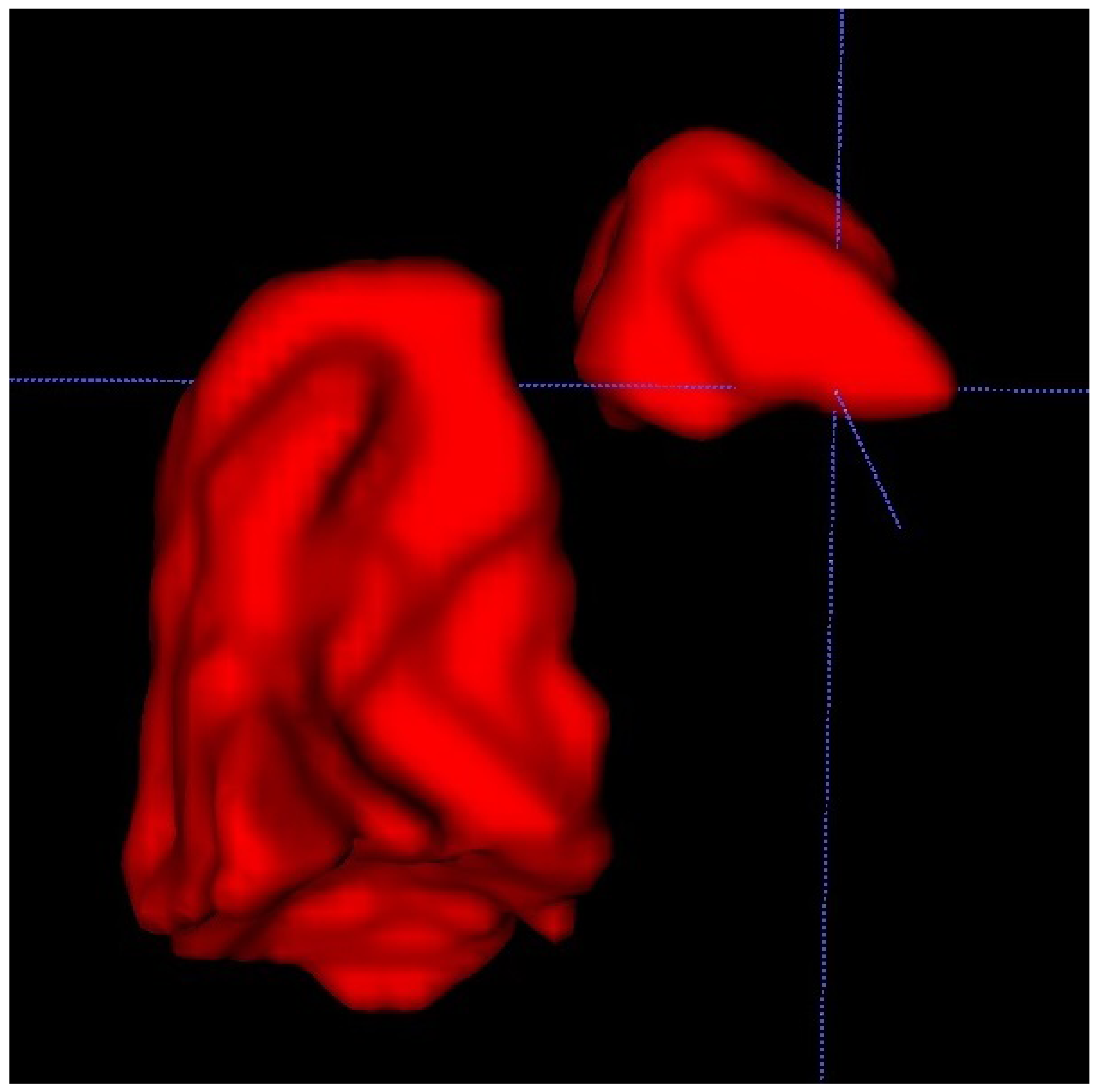 Diagnostics 12 01733 g003