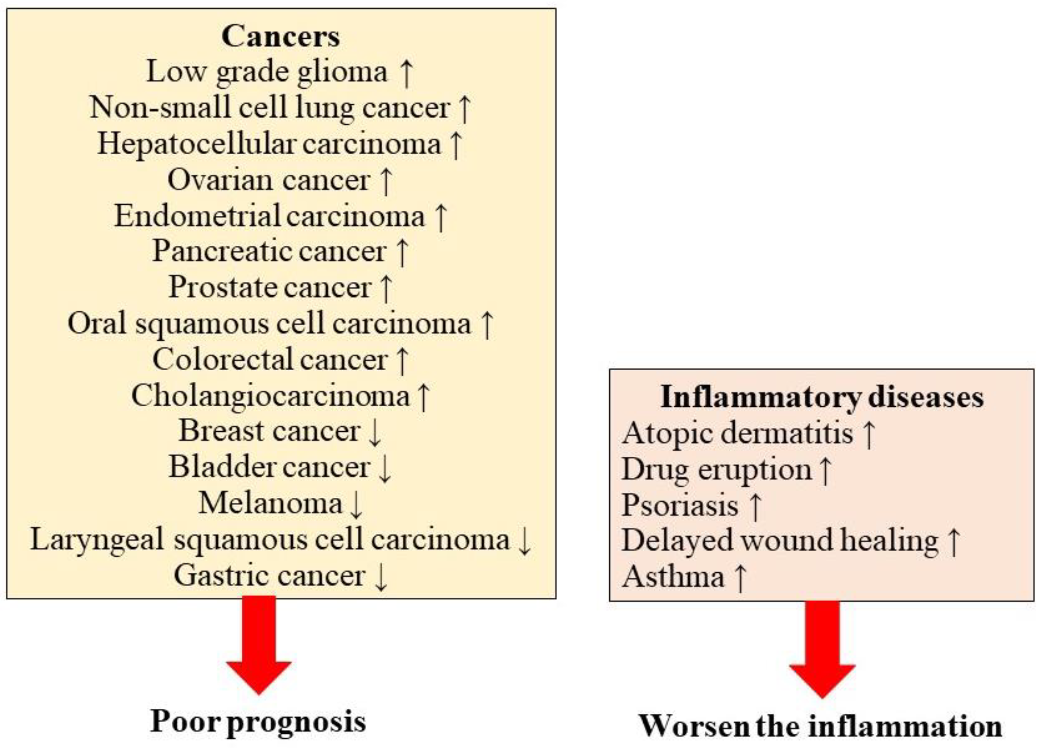 Diagnostics 12 01756 g002
