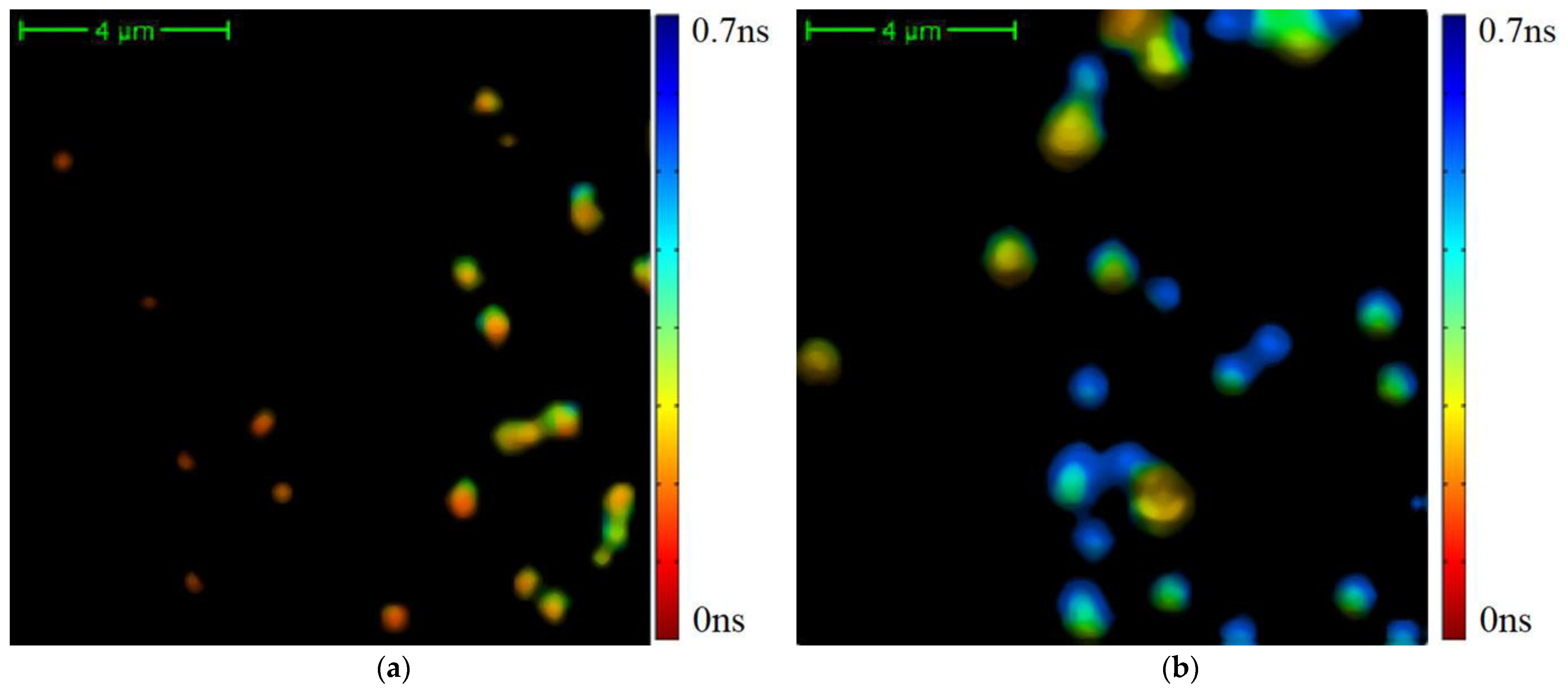 Diagnostics 12 01792 g004
