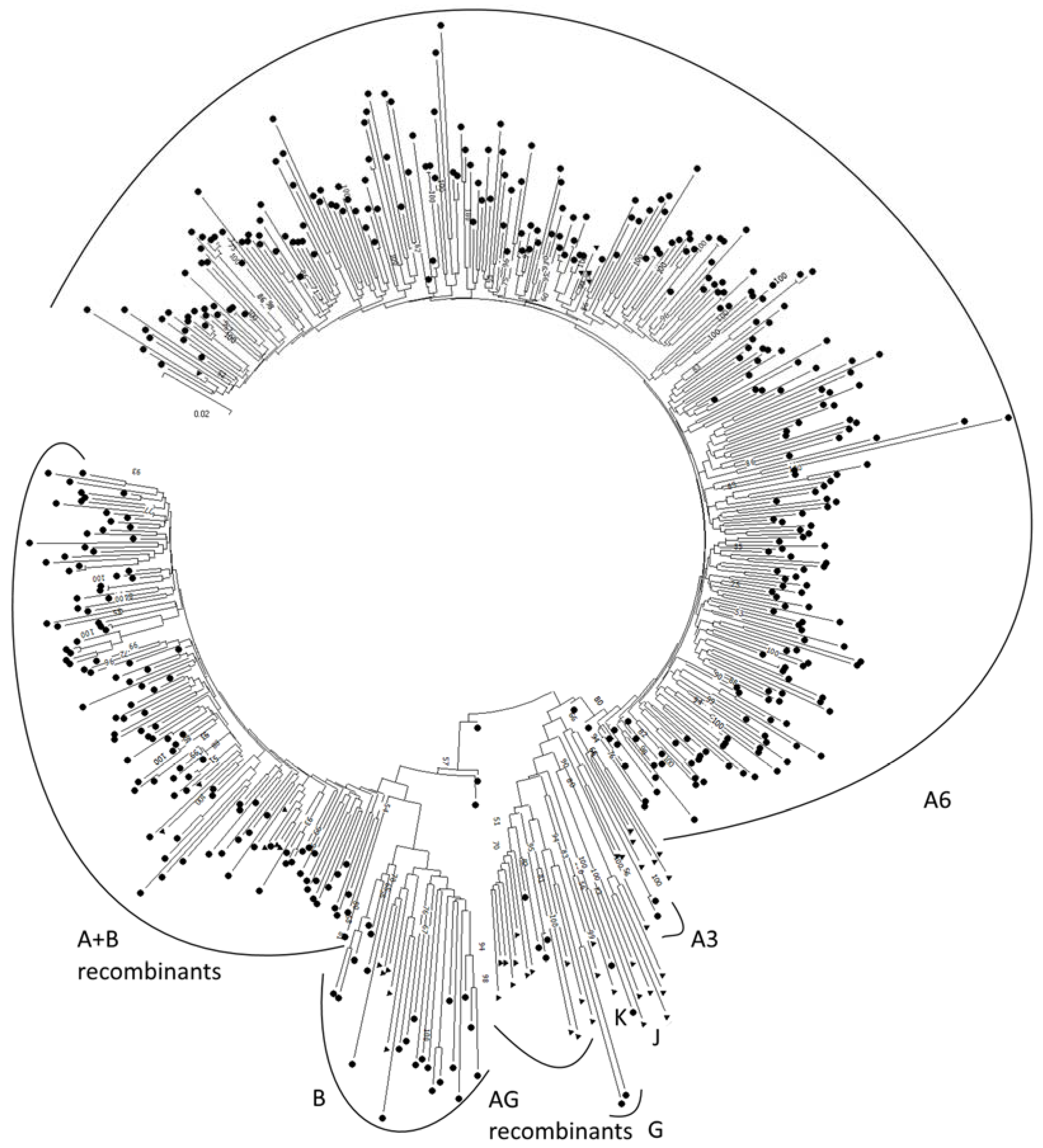 Diagnostics 12 01821 g001