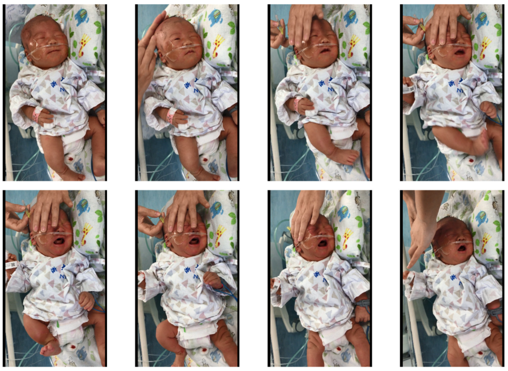 Diagnostics 12 01831 g002