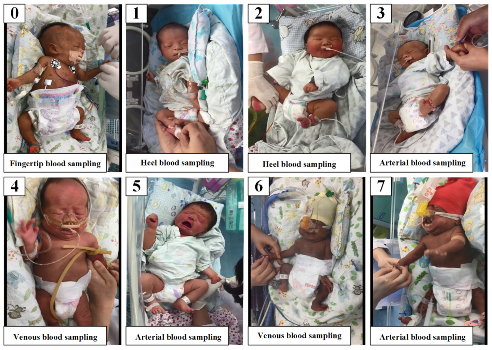 Diagnostics 12 01831 g004