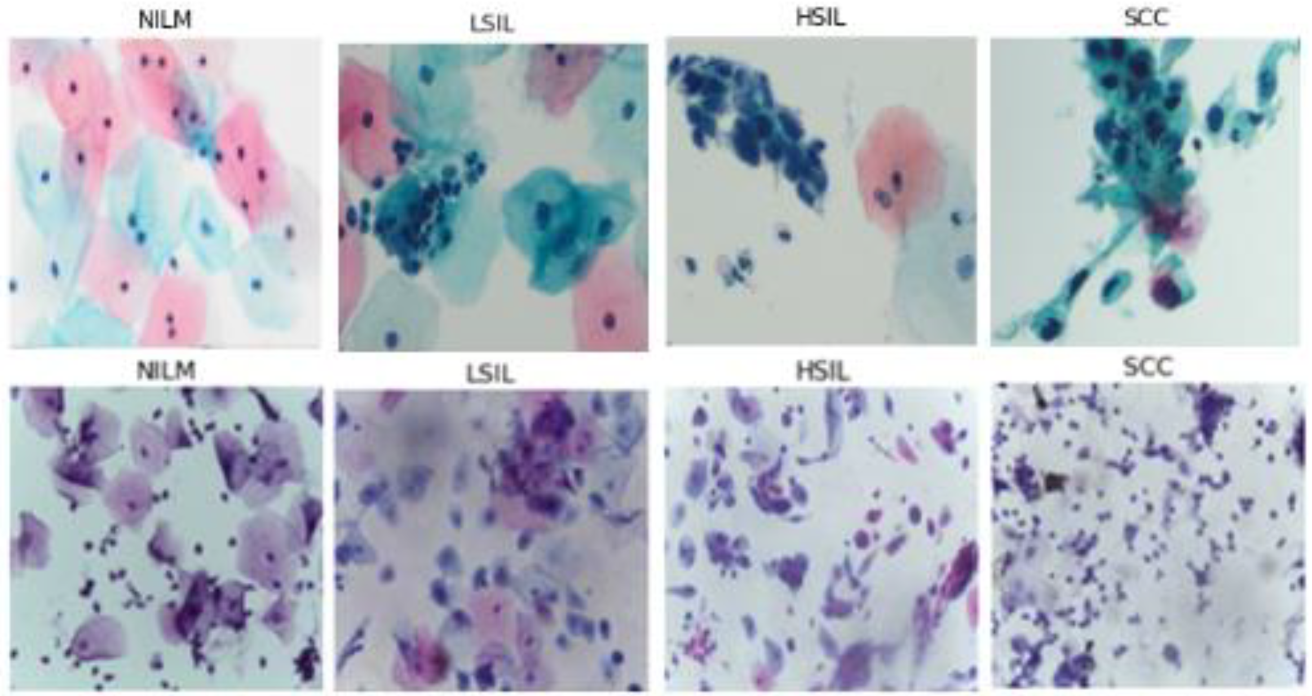 Diagnostics 12 01838 g001