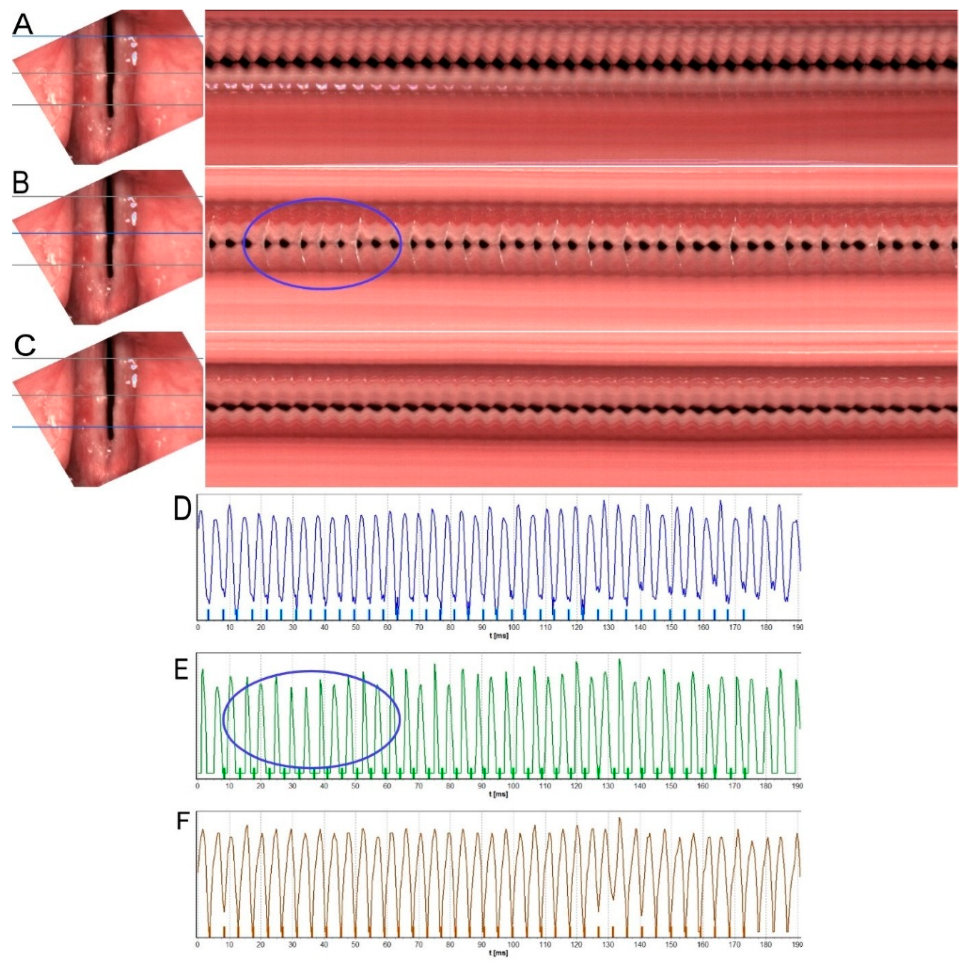 Diagnostics 12 01839 g003