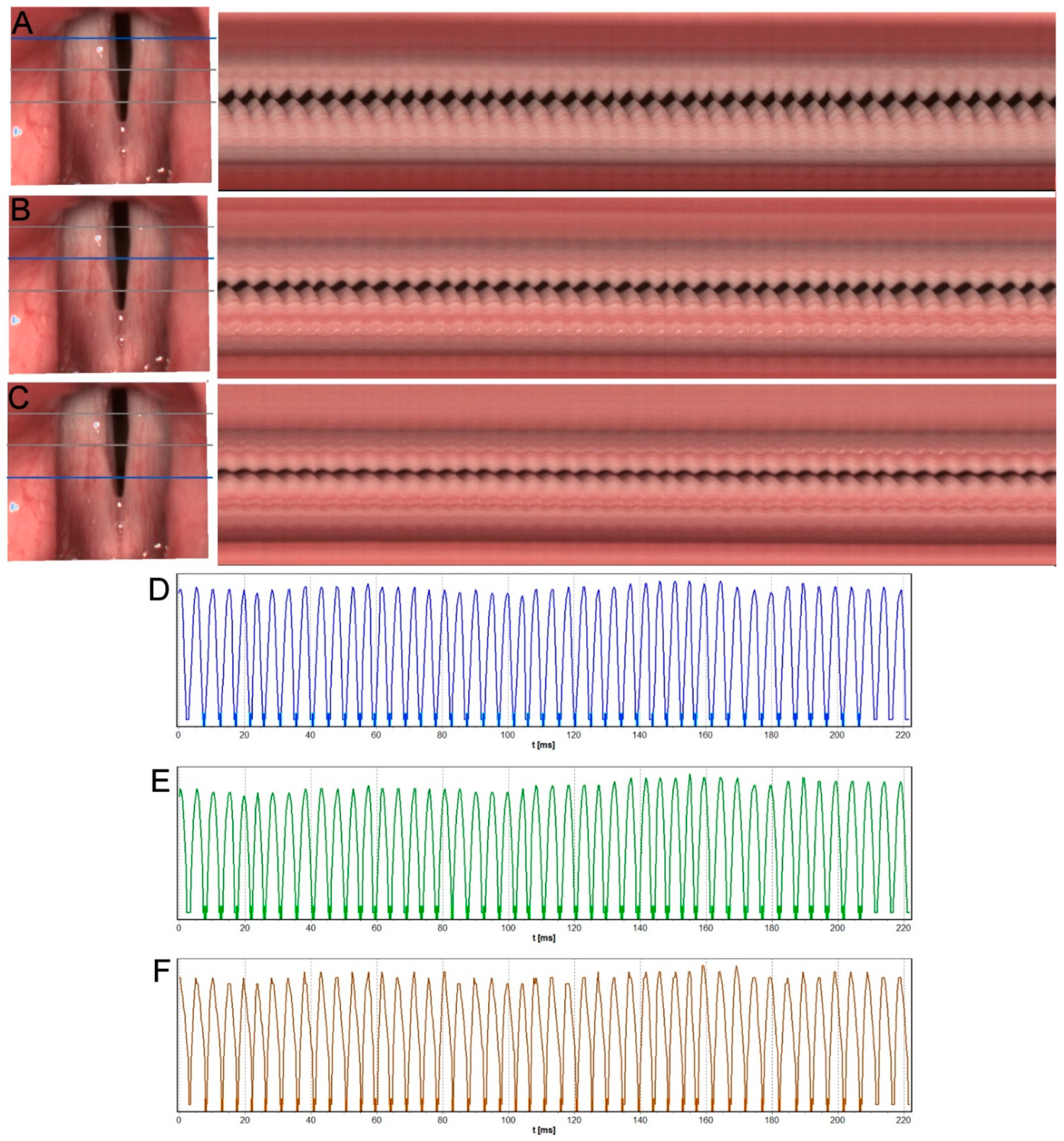 Diagnostics 12 01839 g005