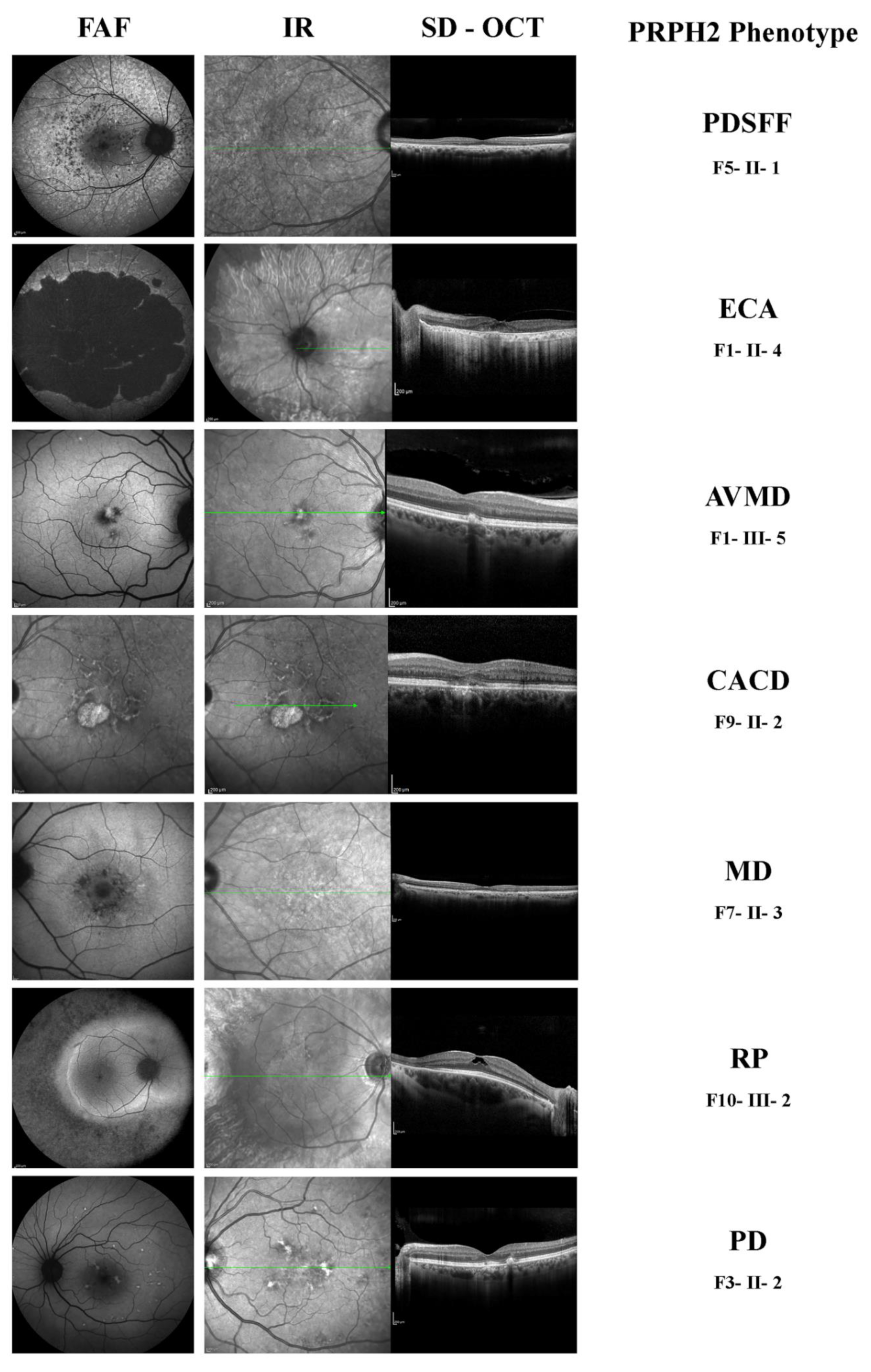 Diagnostics 12 01851 g001