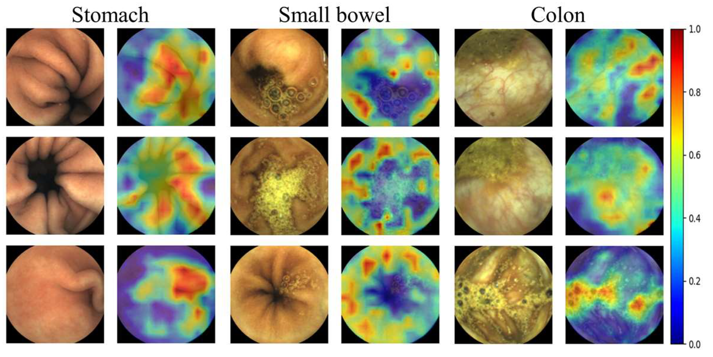 Diagnostics 12 01858 g003
