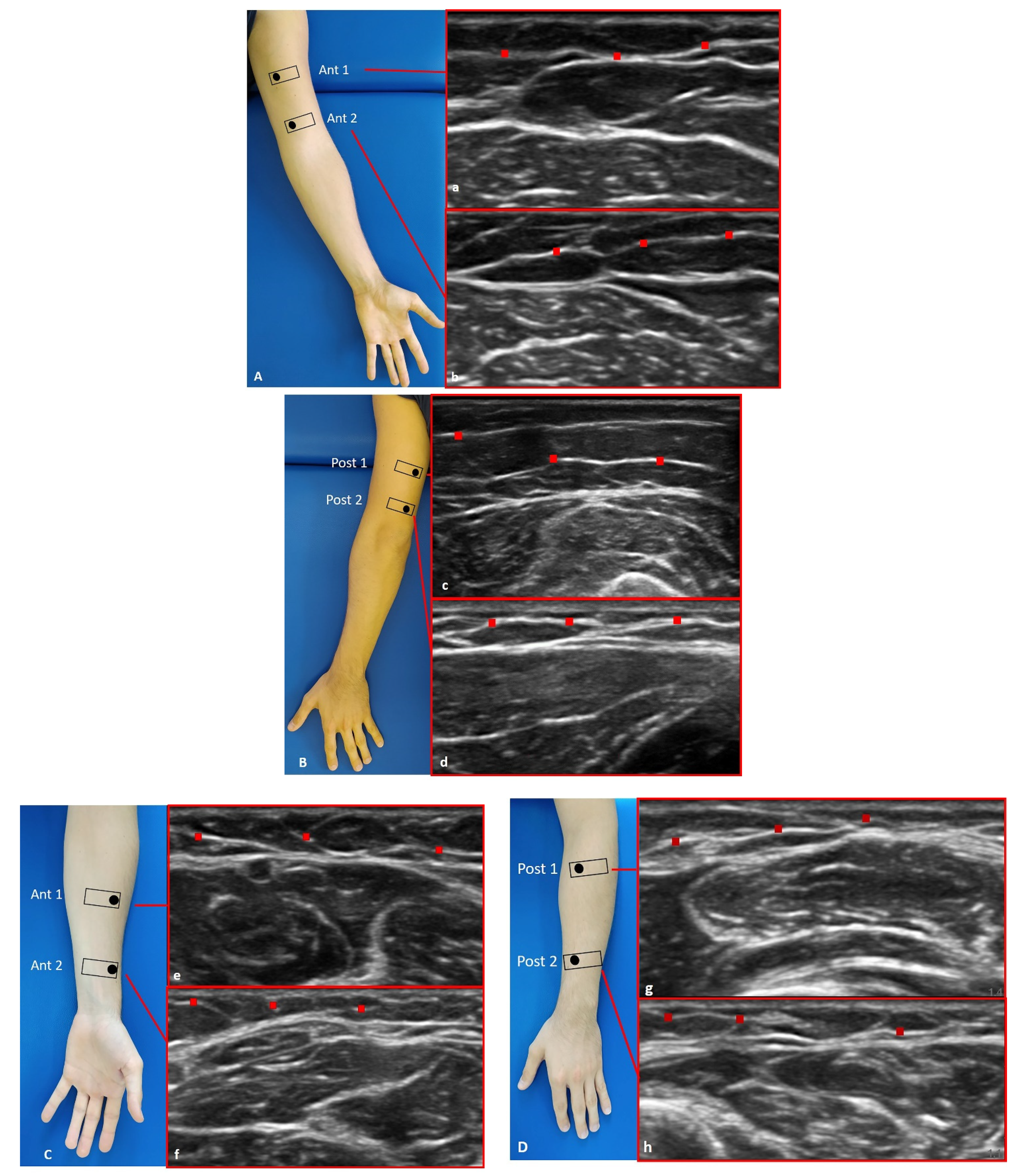 Diagnostics 12 01884 g002 Diagnostics 12 01884 g002