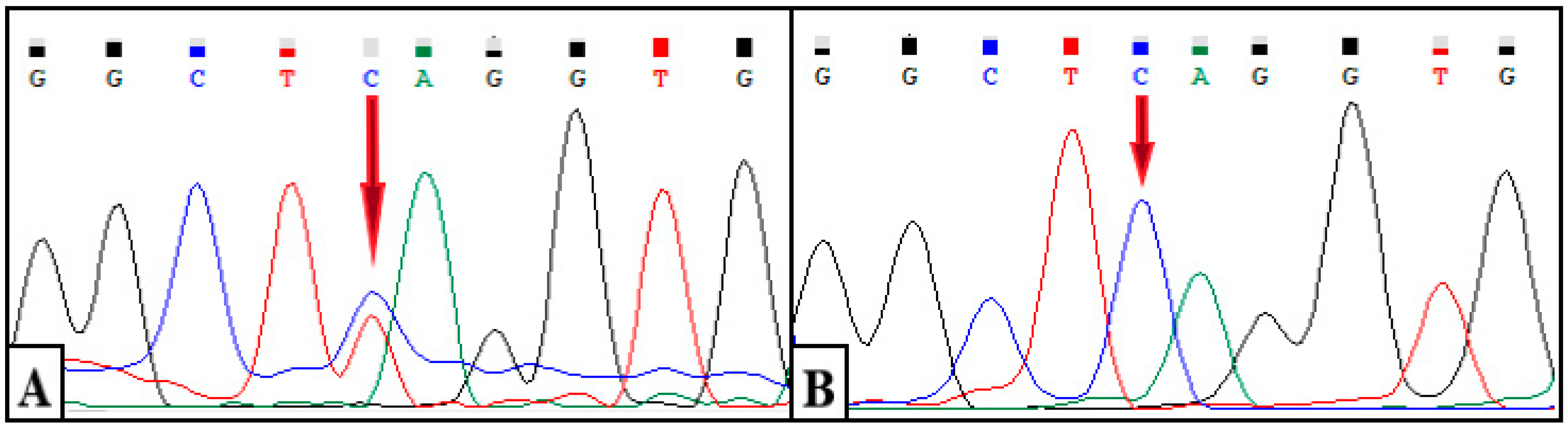 Diagnostics 12 01887 g004