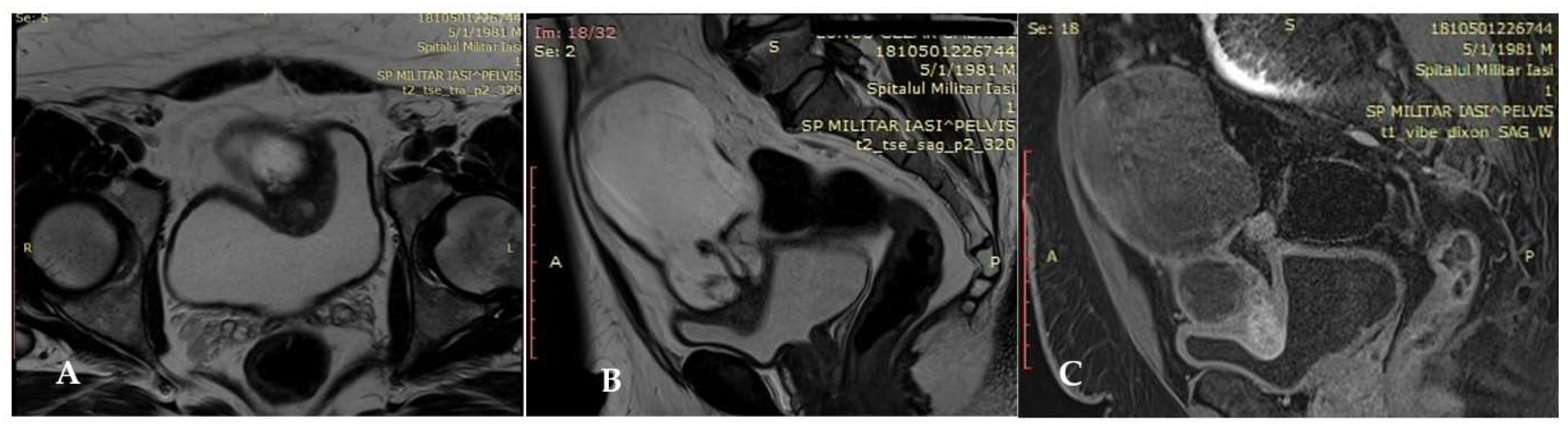 Diagnostics 12 01892 g002