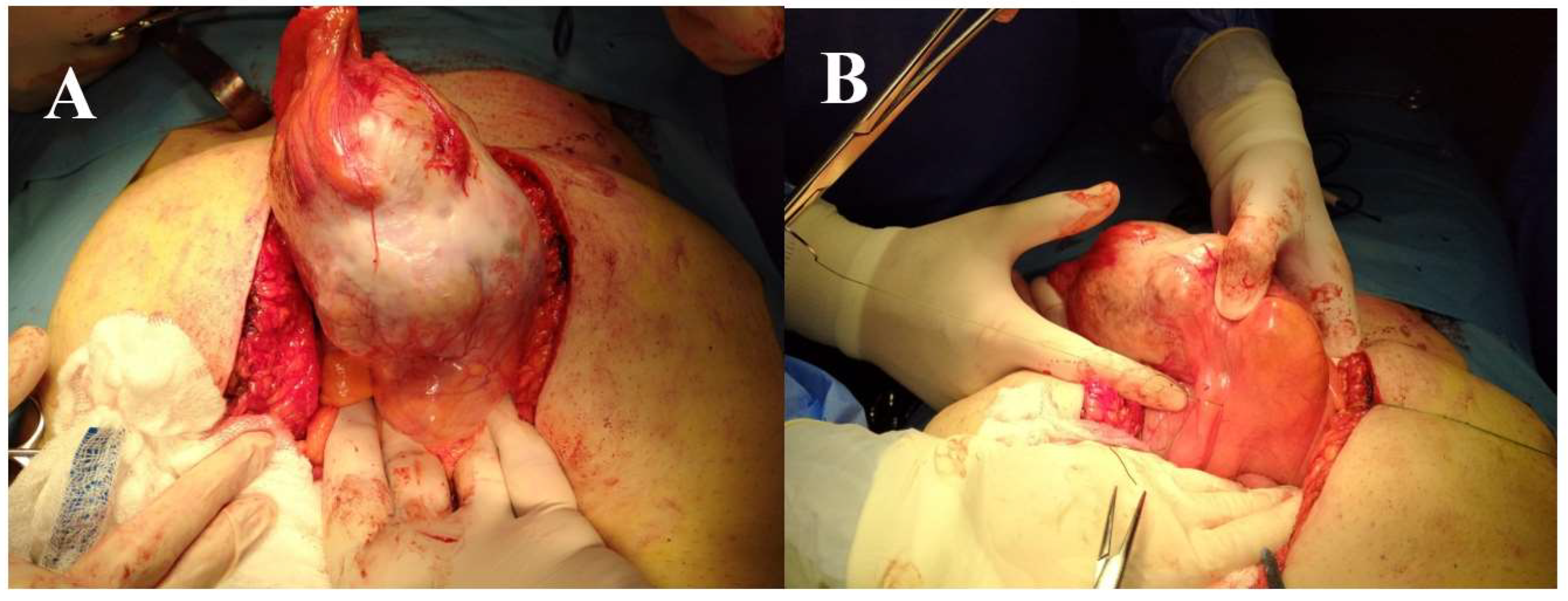 Diagnostics 12 01892 g003