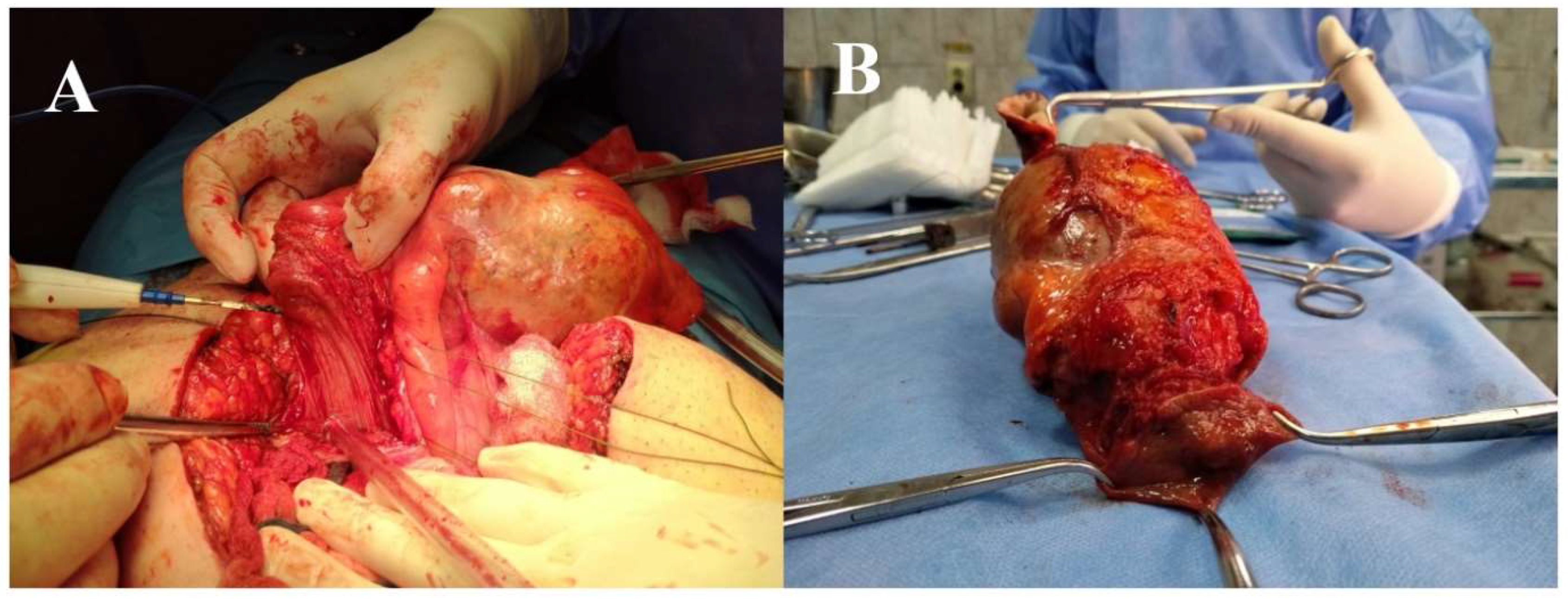 Diagnostics 12 01892 g004