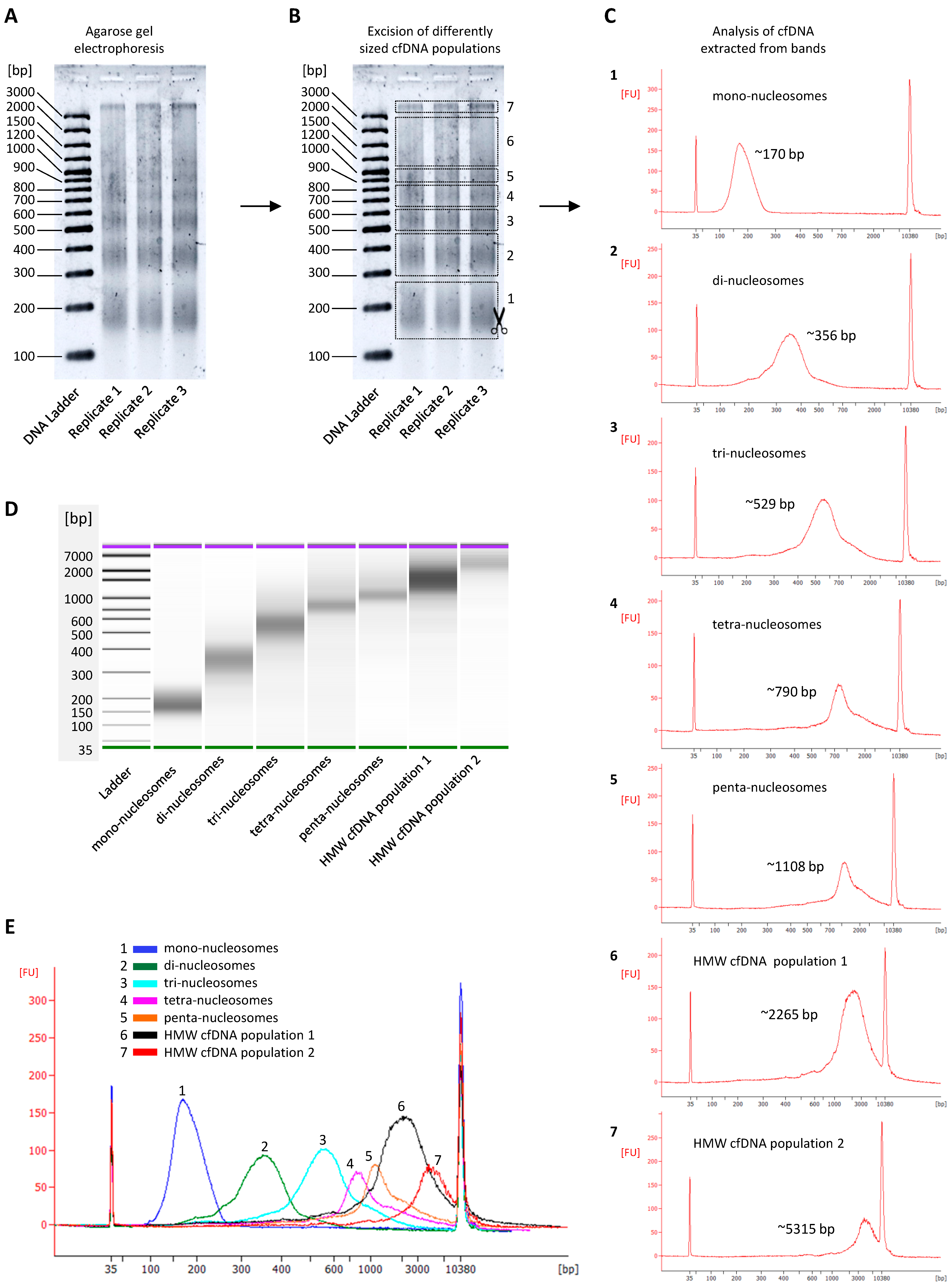 Diagnostics 12 01896 g002