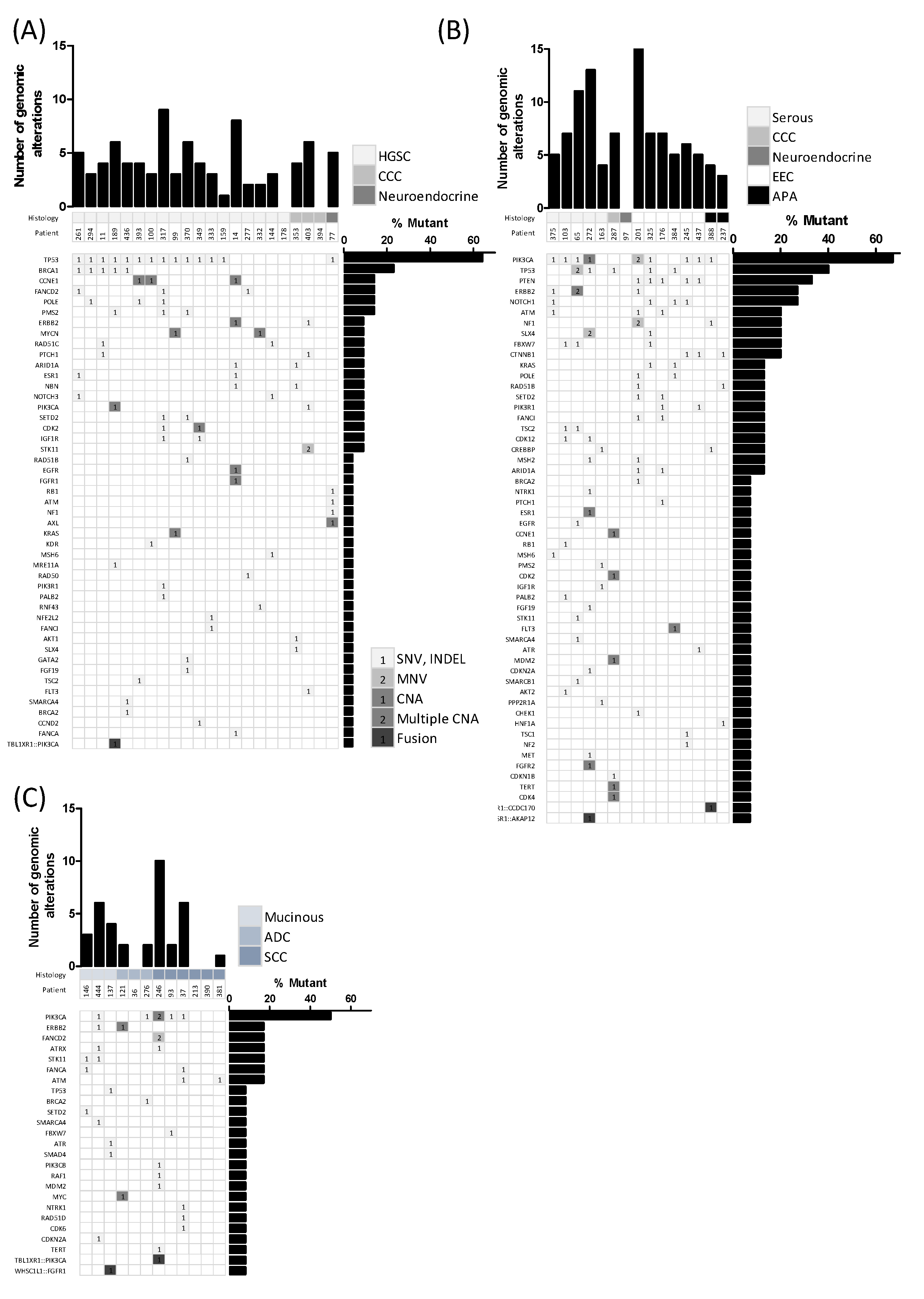 Diagnostics 12 01903 g002