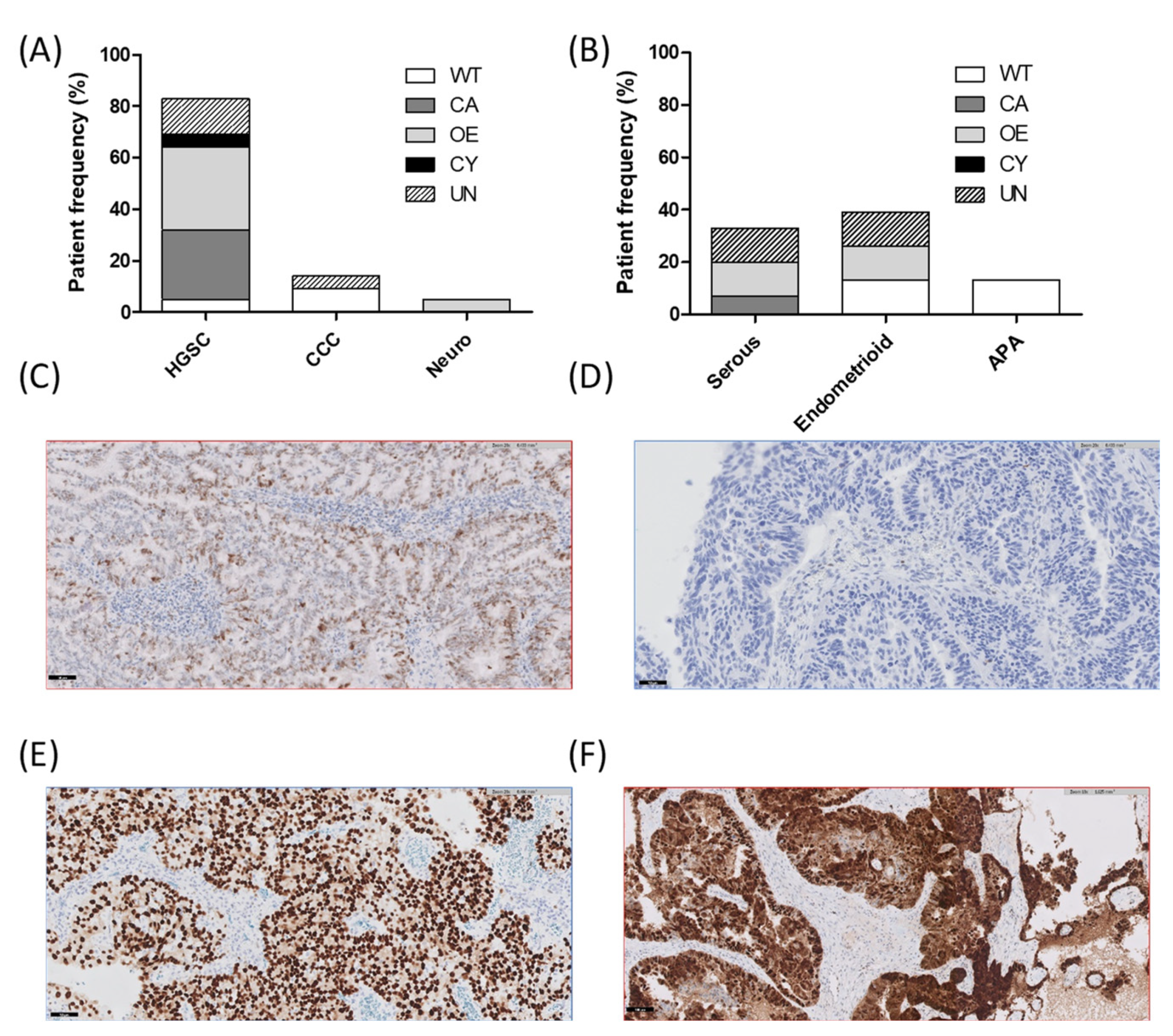 Diagnostics 12 01903 g003