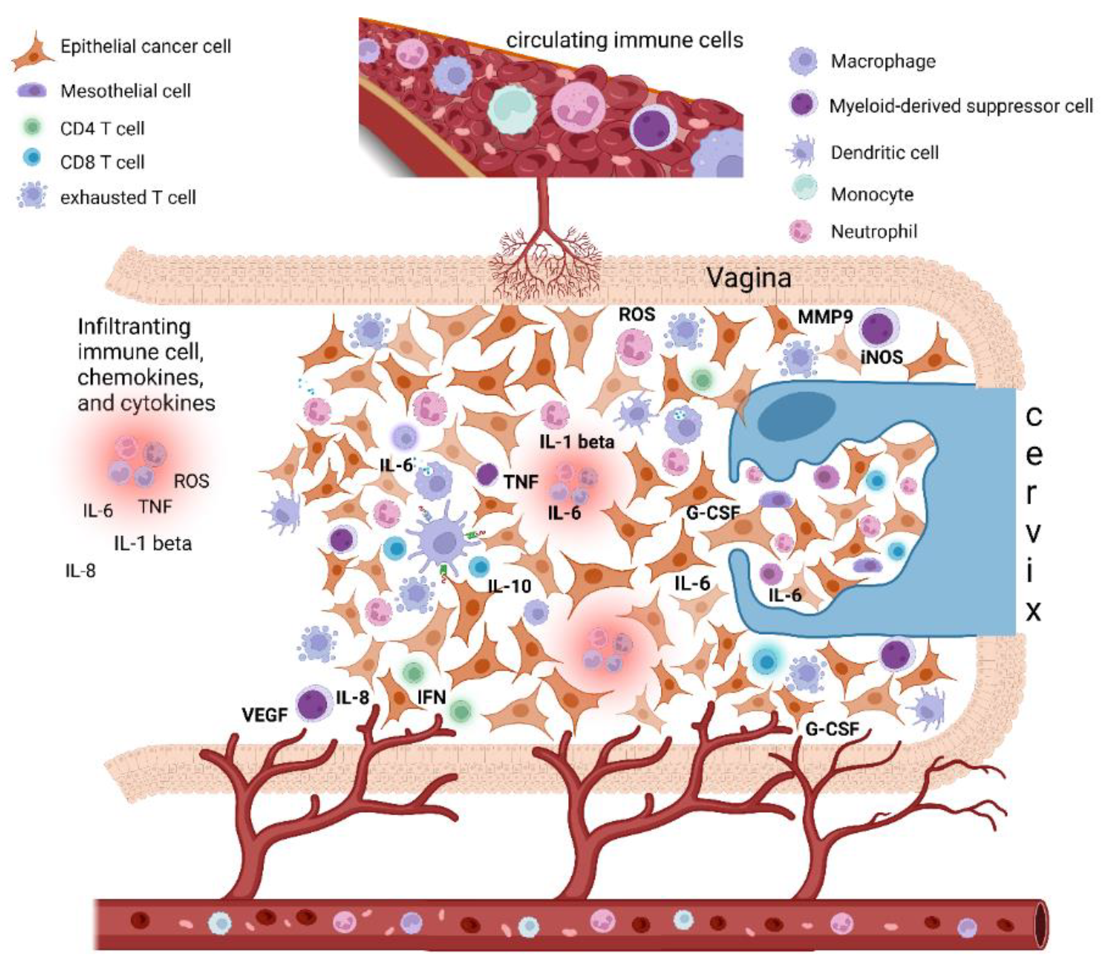 Diagnostics 12 01910 g001