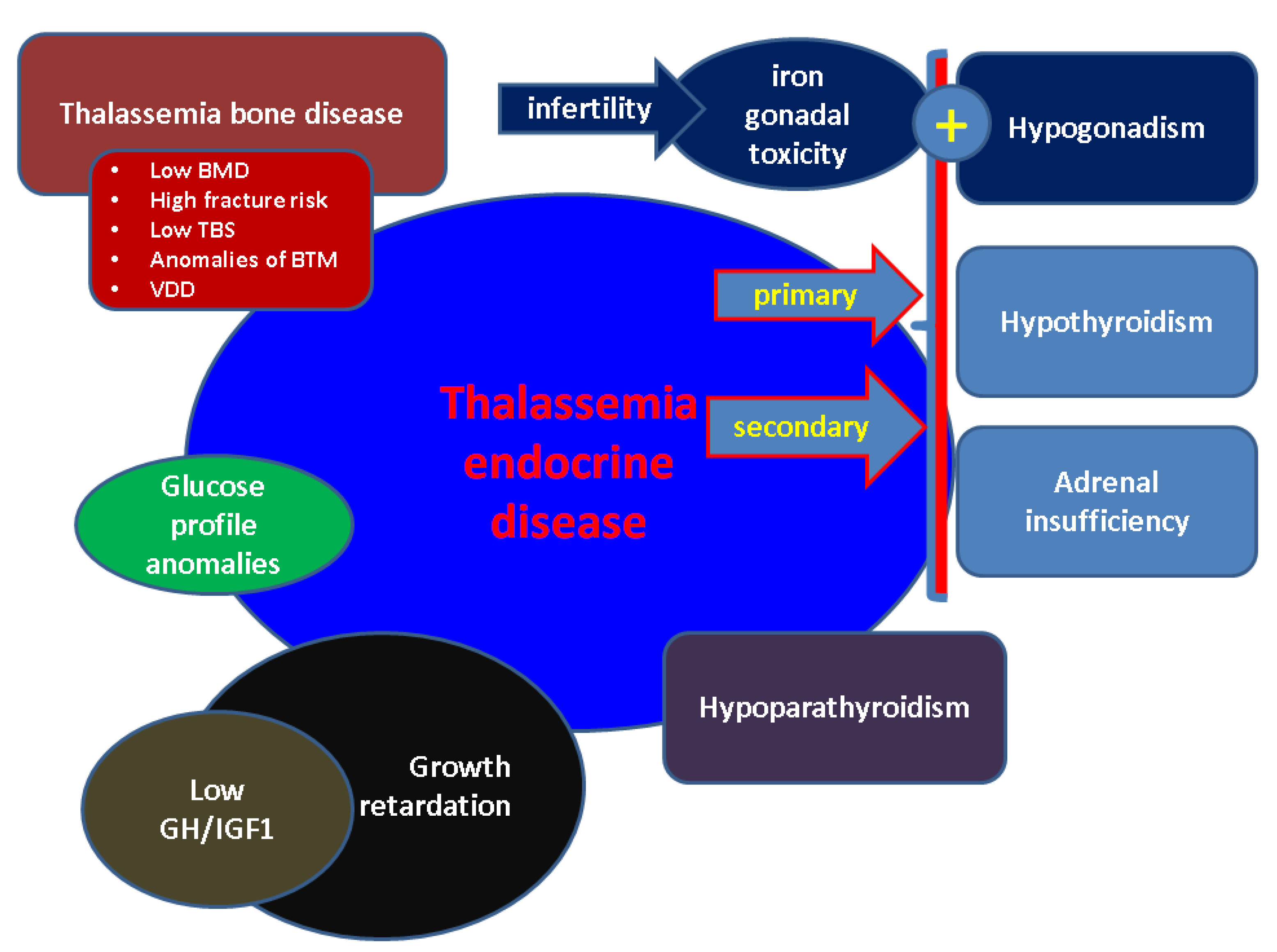 Diagnostics 12 01921 g001