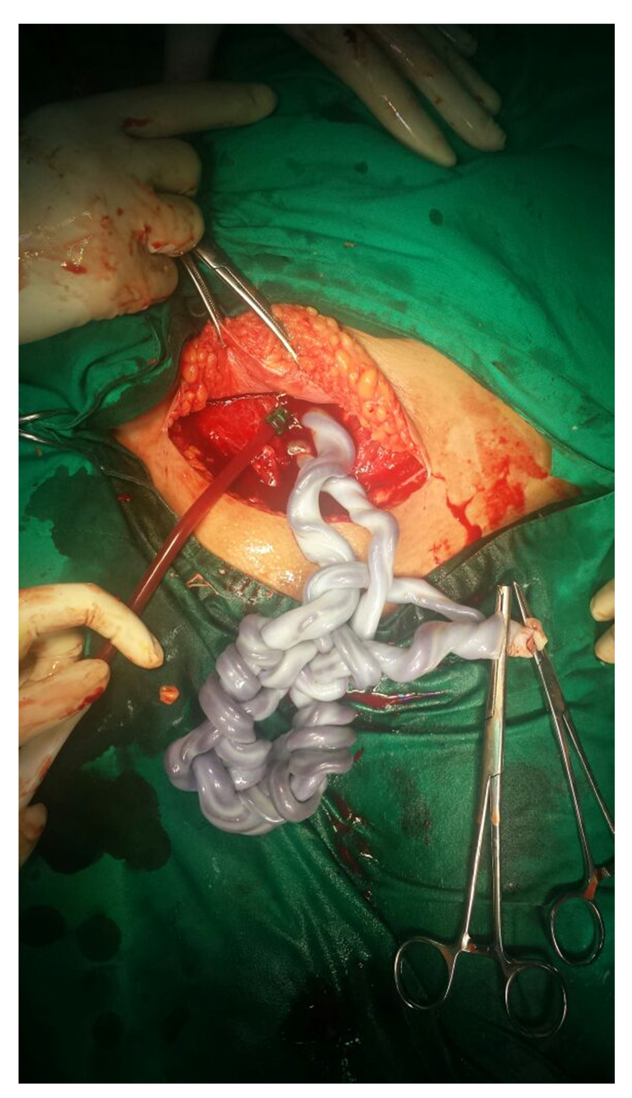 Diagnostics 12 01921 g002