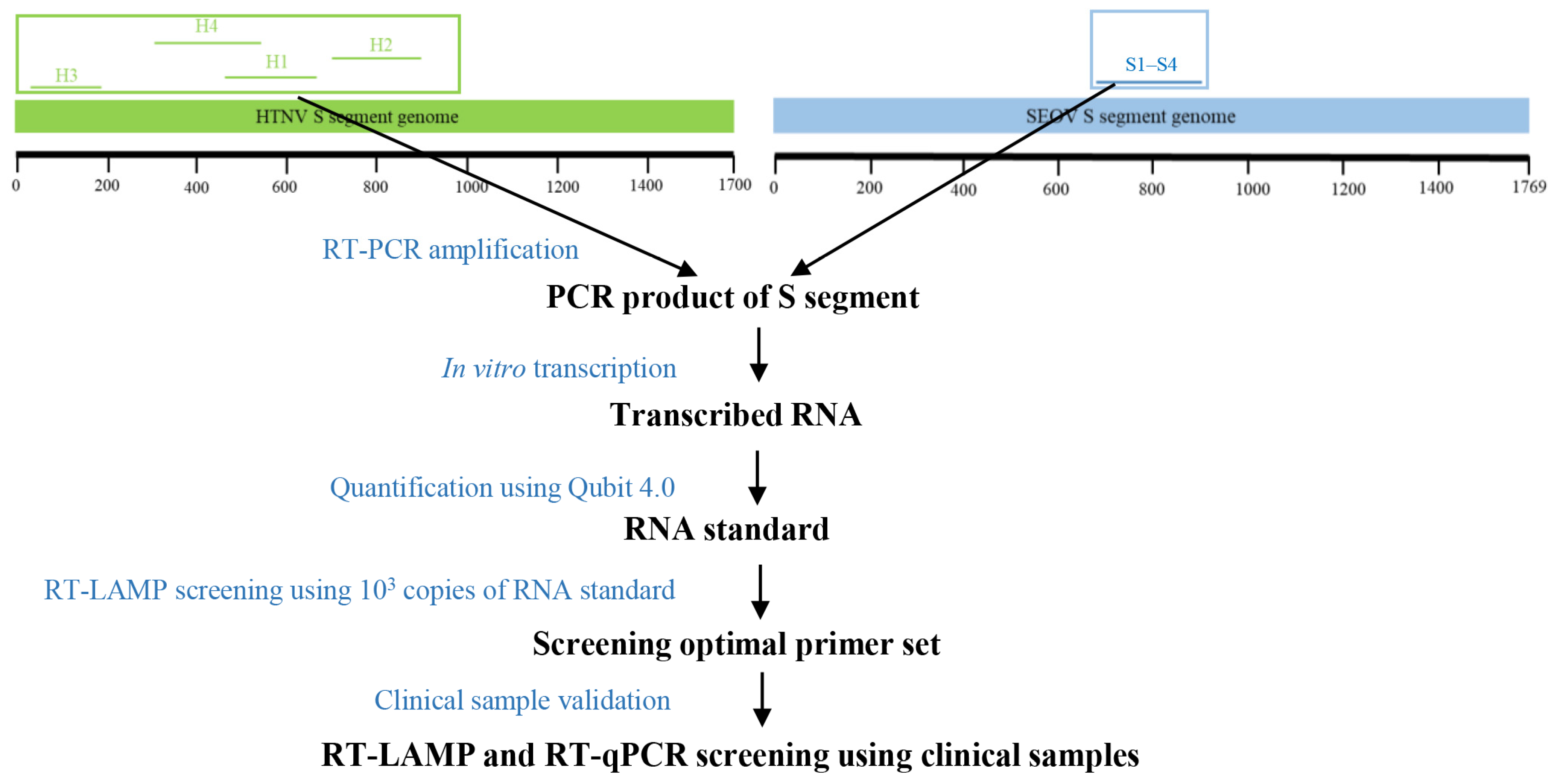 Diagnostics 12 01925 g001