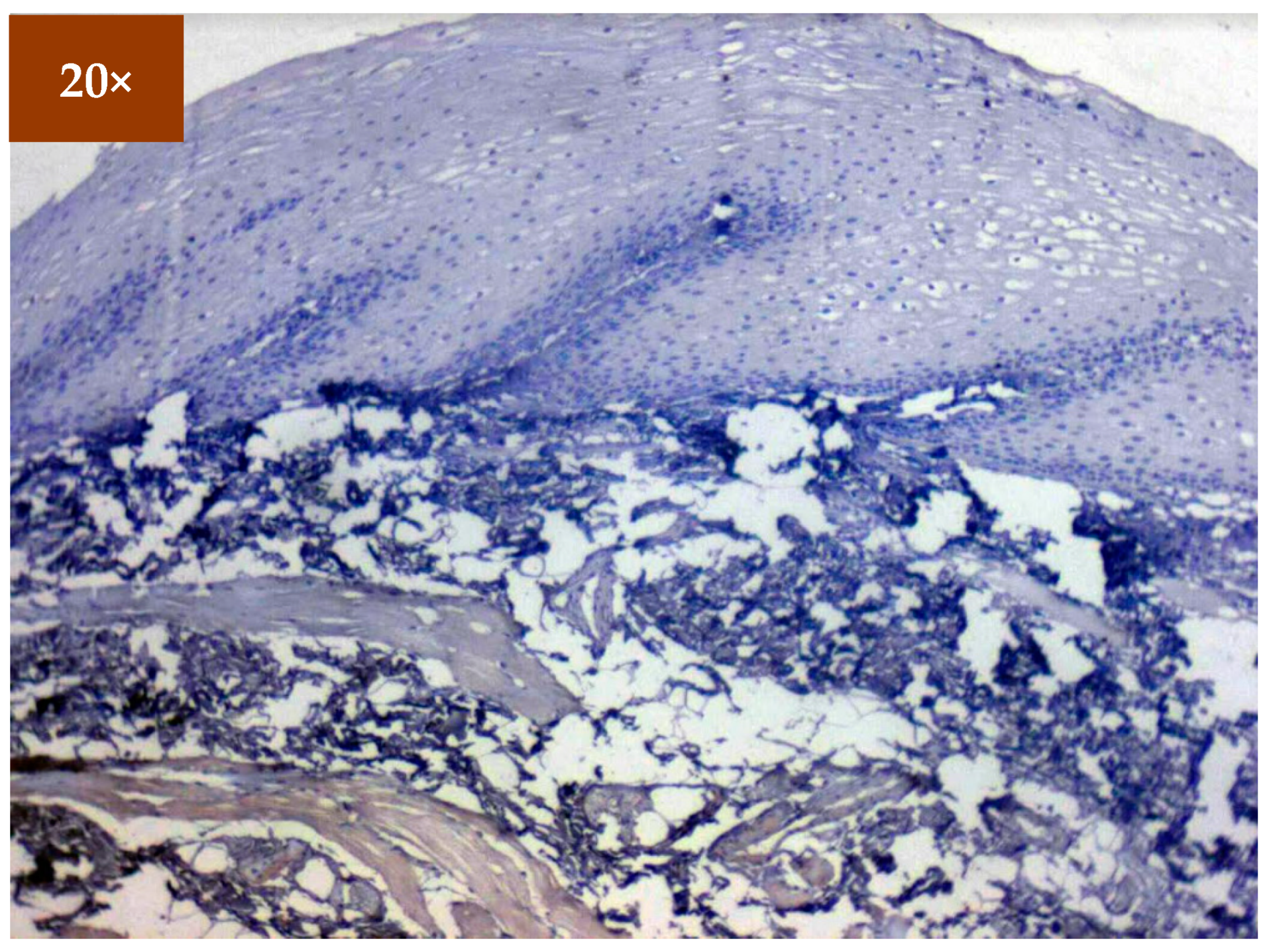 Diagnostics 12 01935 g003