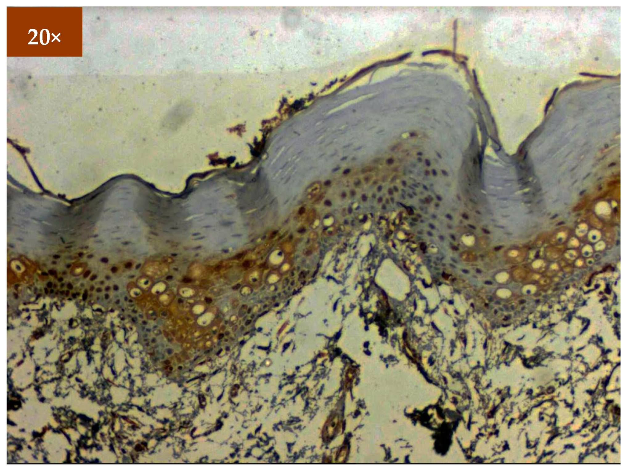 Diagnostics 12 01935 g005