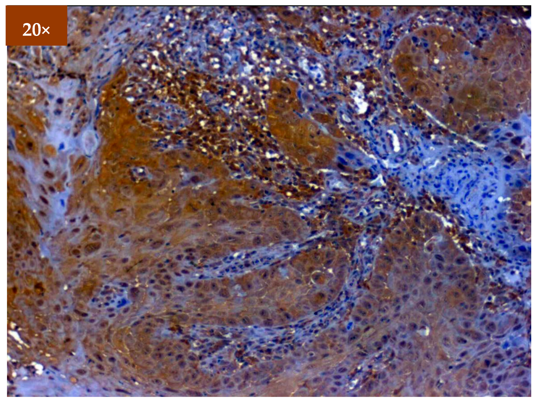 Diagnostics 12 01935 g006