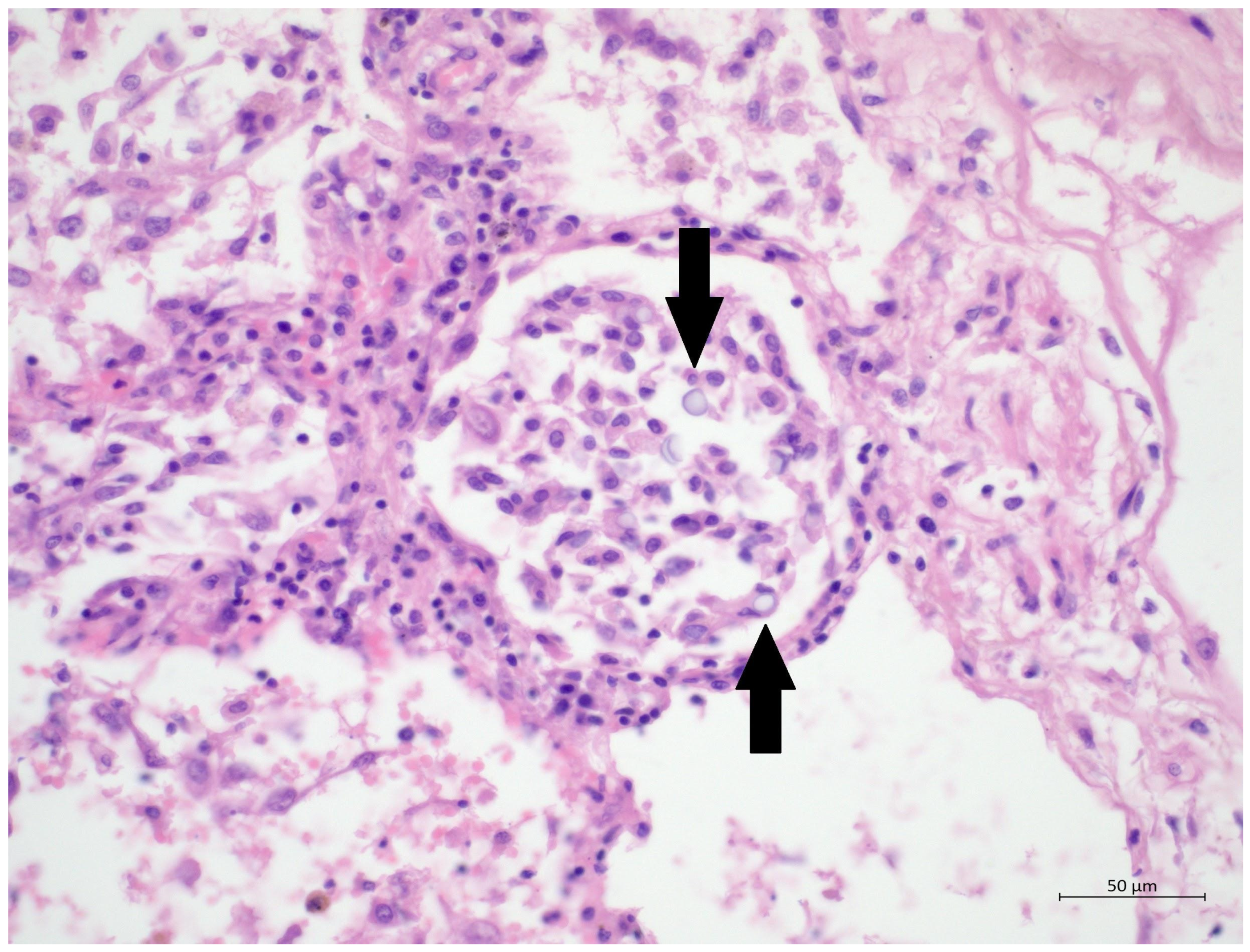 Diagnostics 12 01944 g003