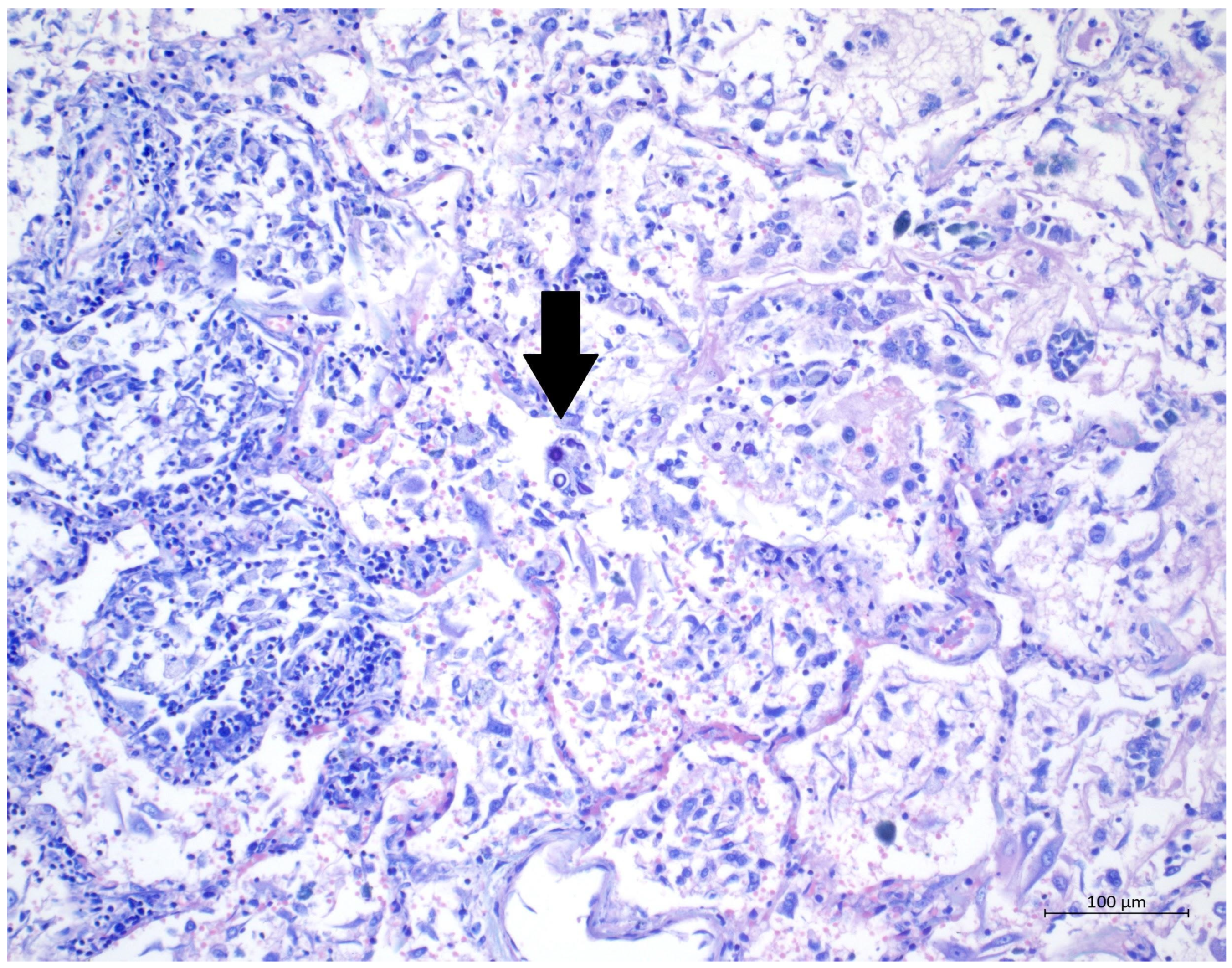 Diagnostics 12 01944 g005