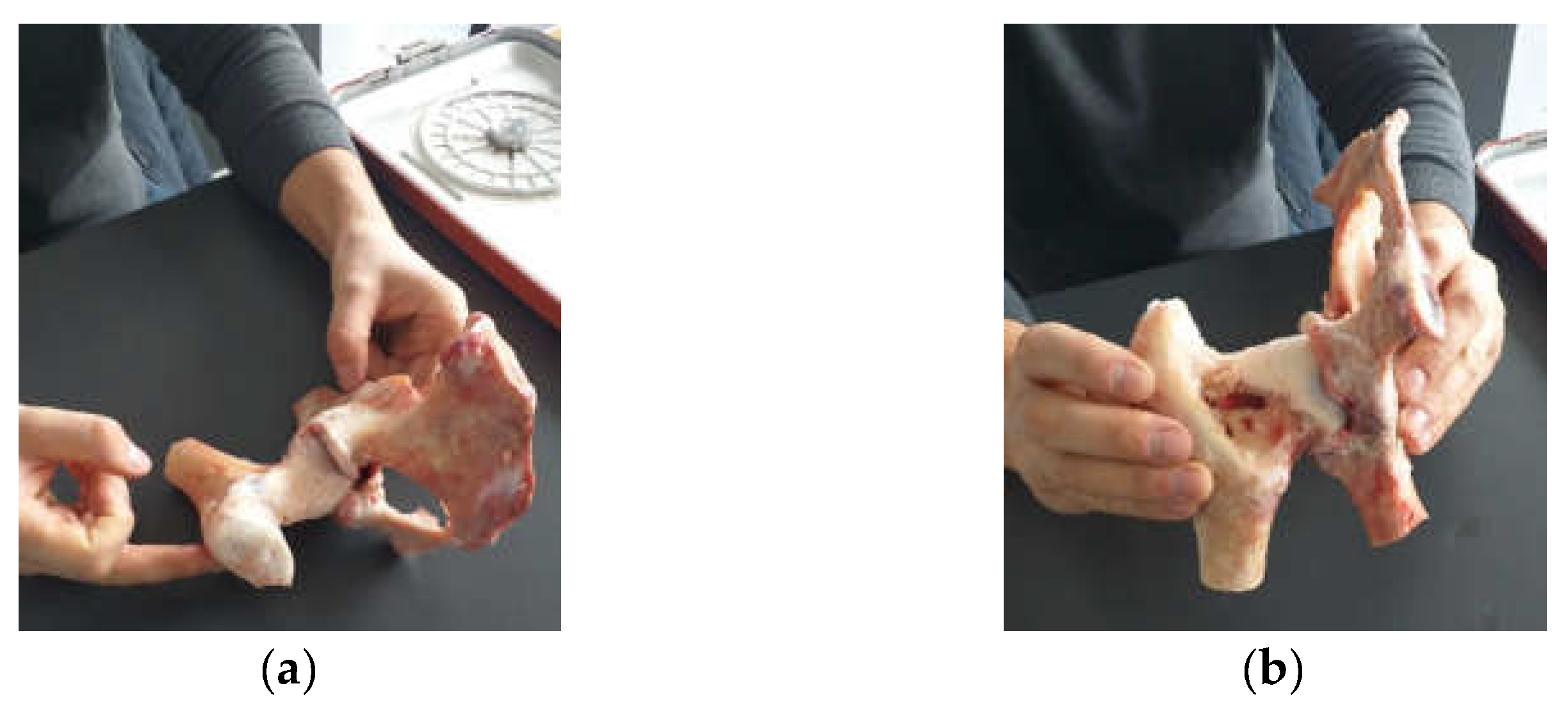 Diagnostics 12 01952 g001