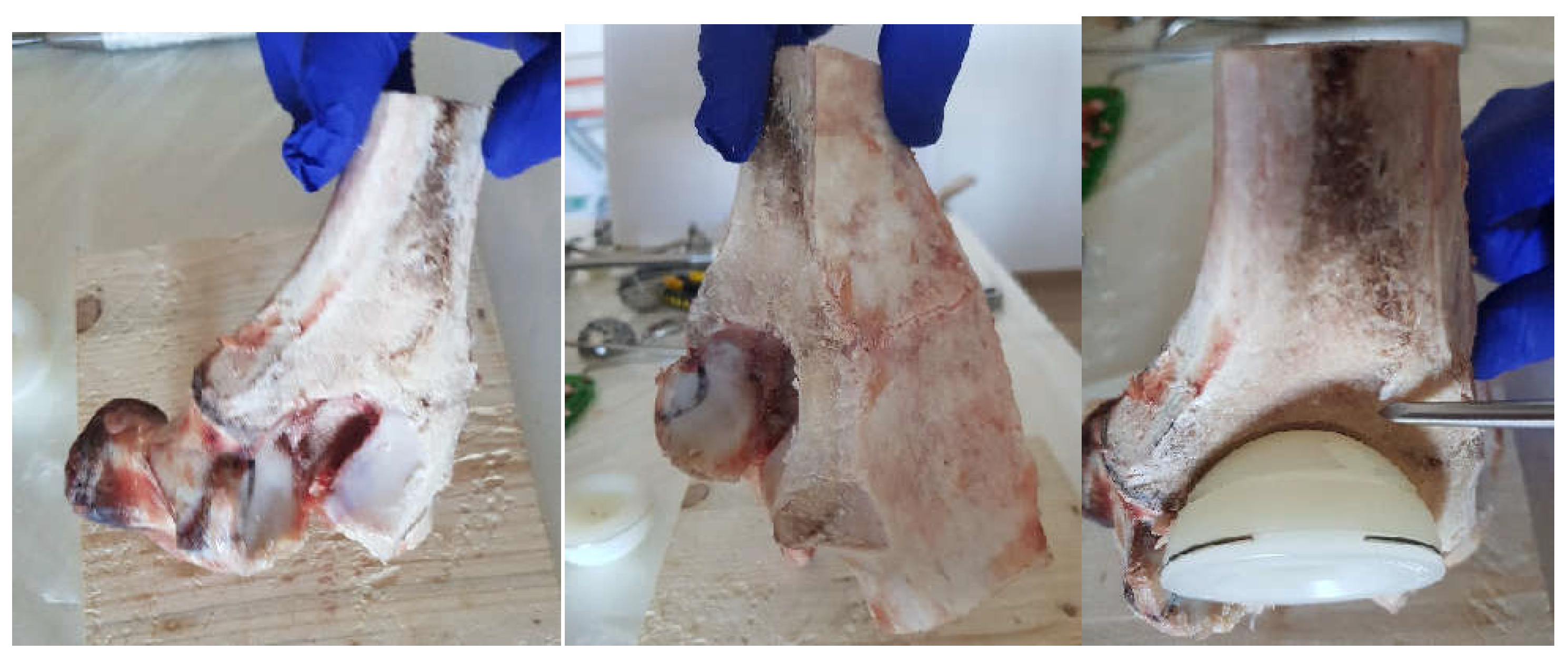 Diagnostics 12 01952 g009